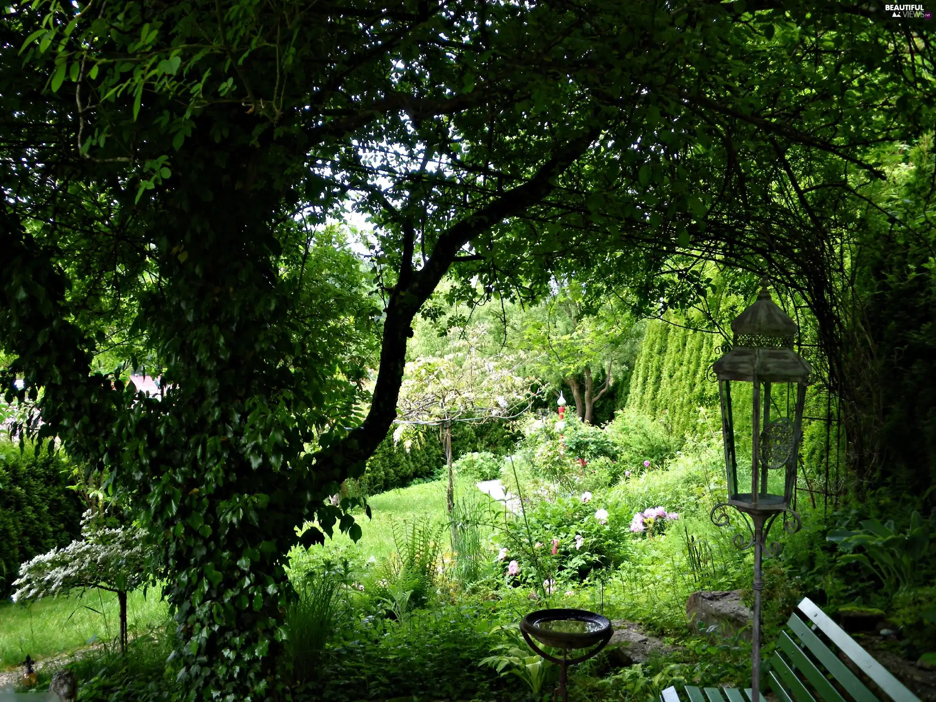 Lamplight, Garden, Bench