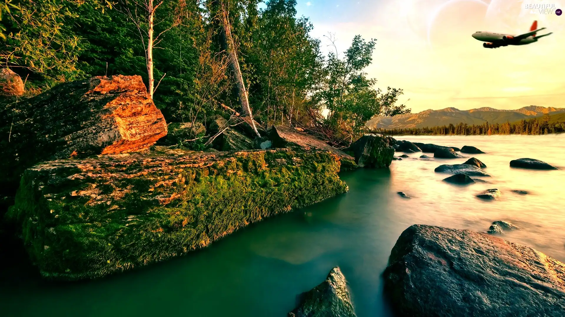 forest, plane, landscape, River