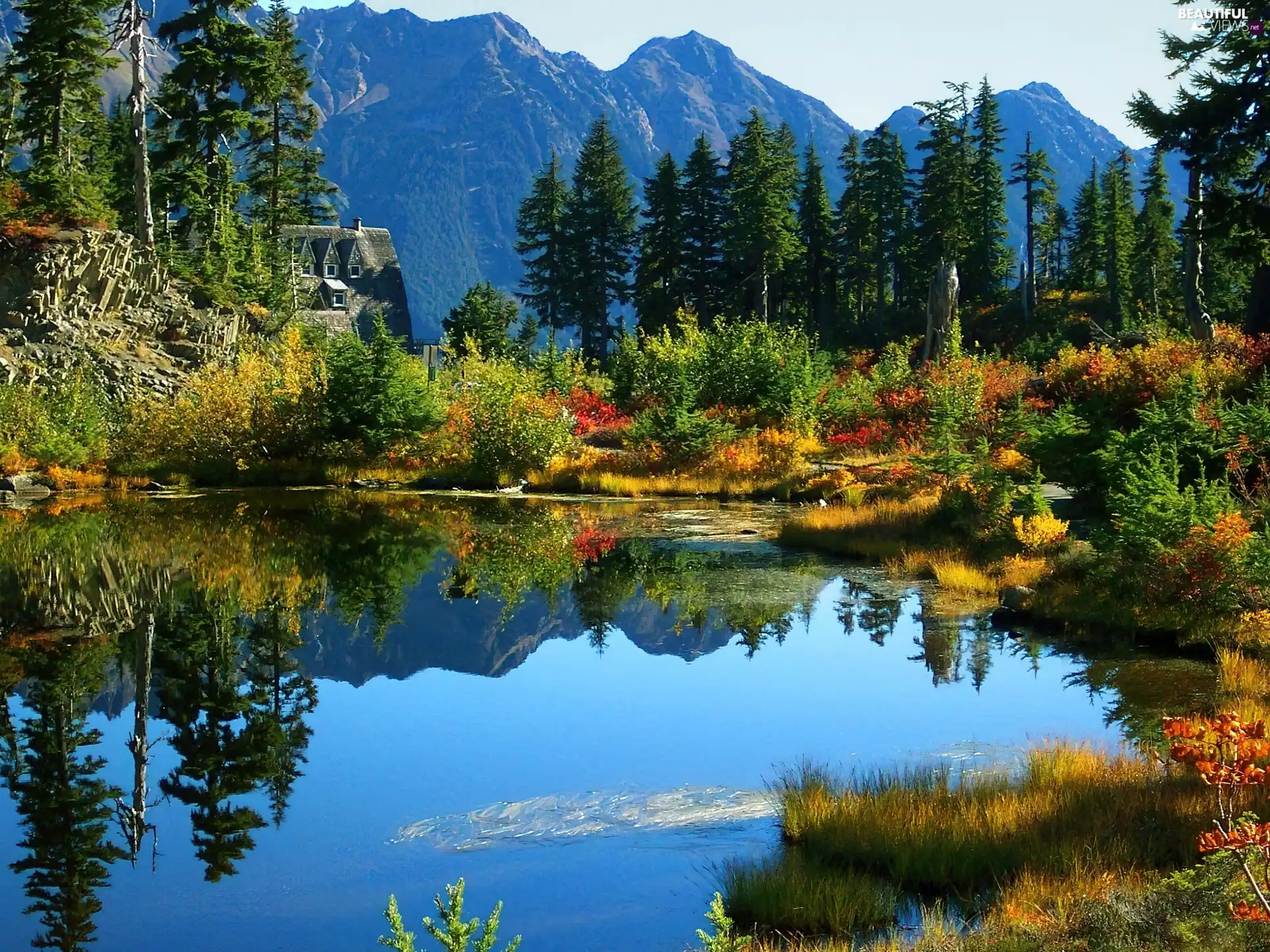 lake, viewes, landscape, trees