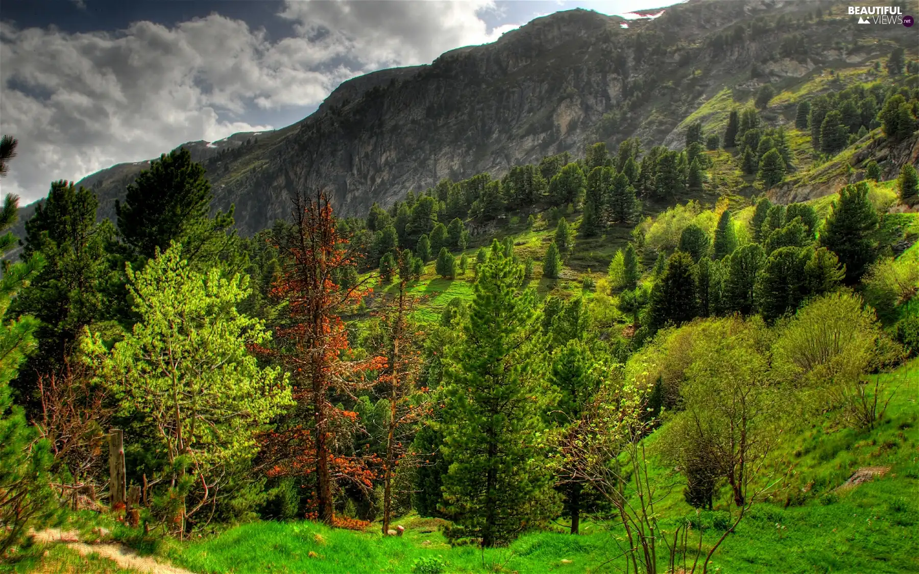 landscape, mountainous, summer