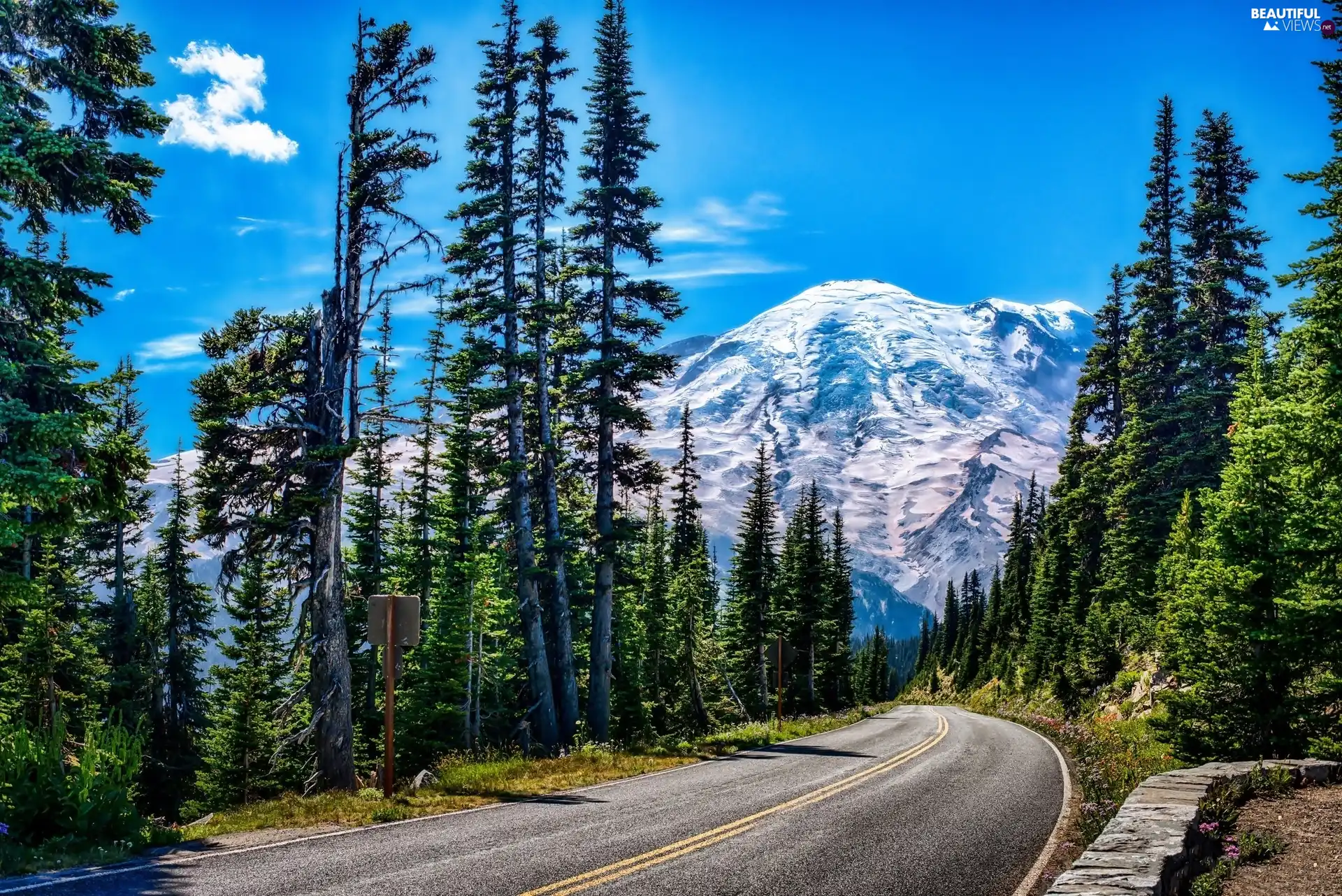 Way, Mountains, landscape, forest