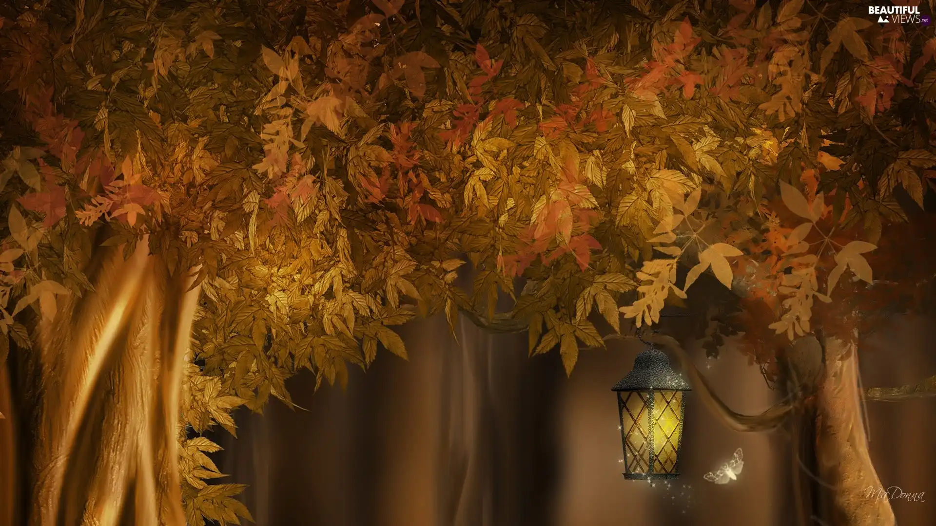 lantern, Art, viewes, Leaf, trees