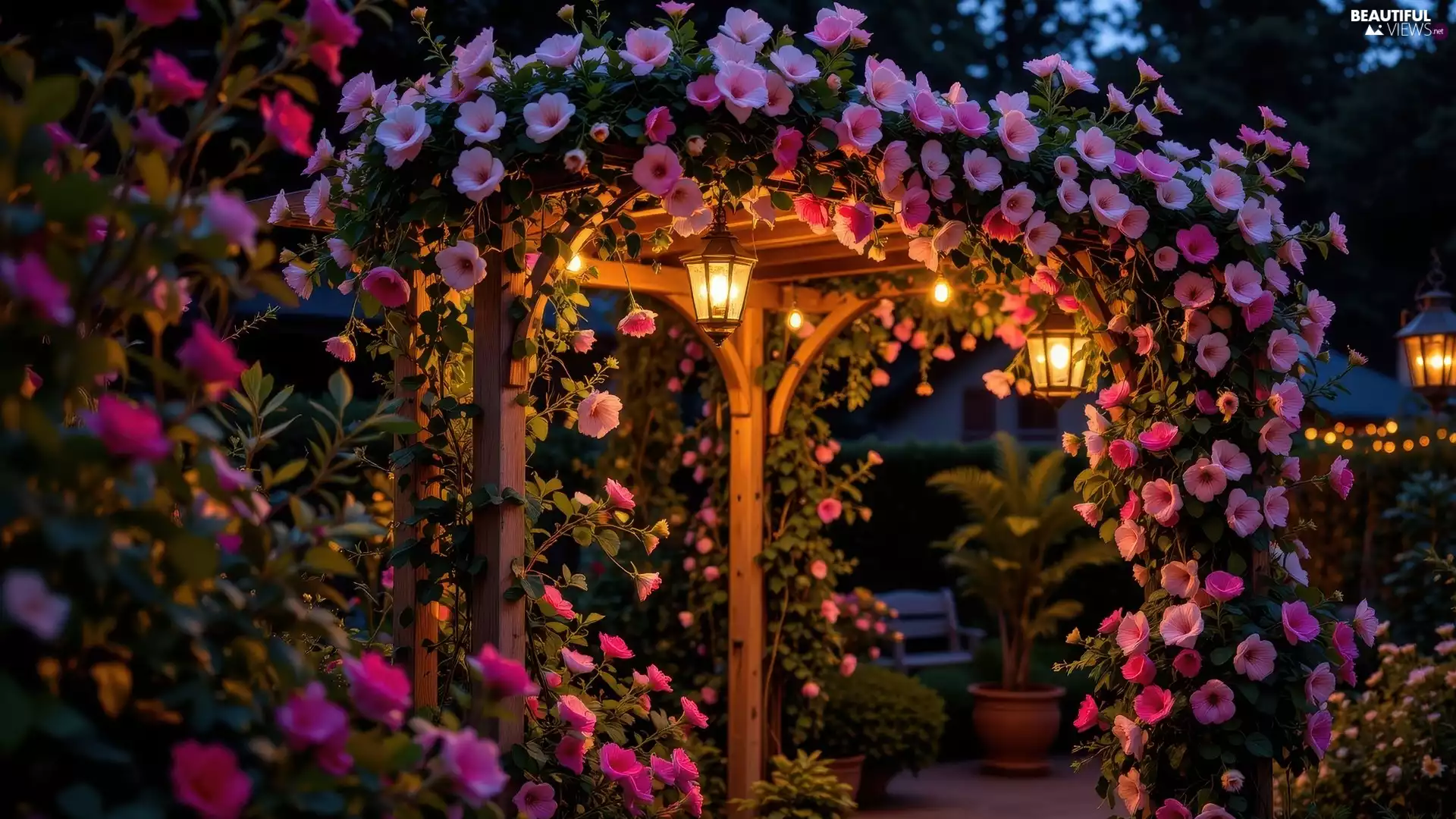 garden, Garden, Flowers, lanterns, Pink, pergola