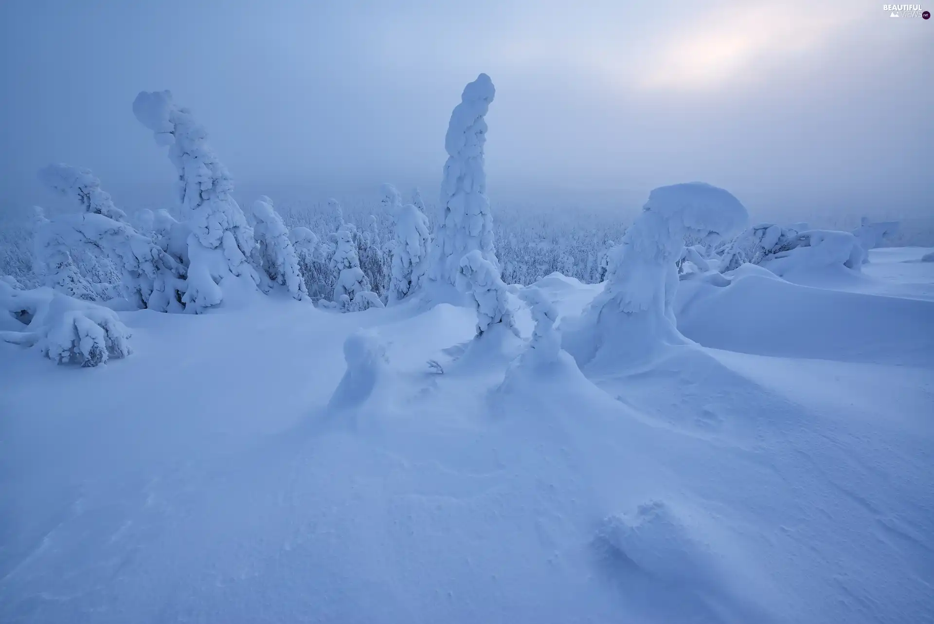 Snowy, Finland, viewes, Lapland, winter, trees, sun