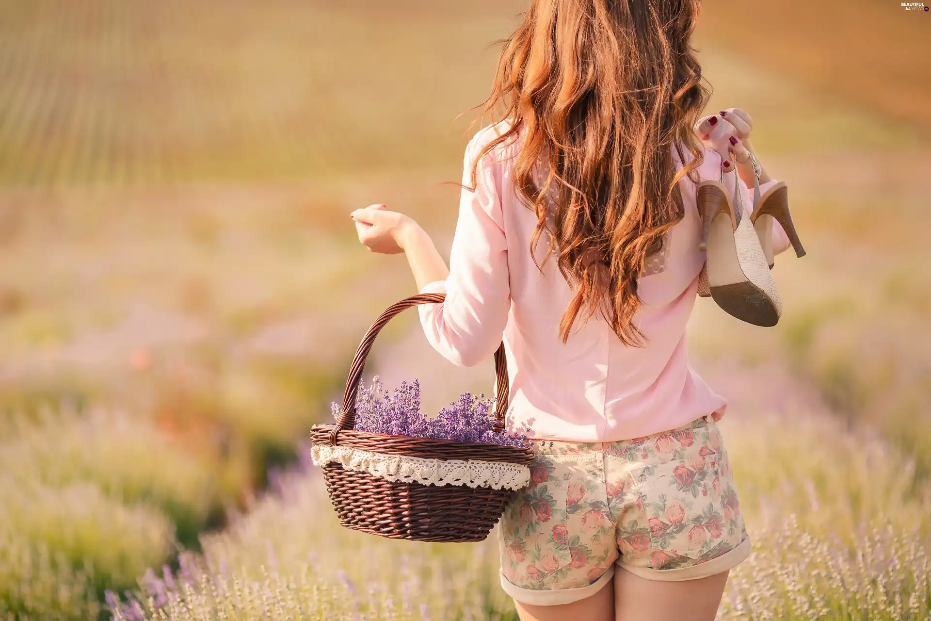 lavender, Boots, Meadow, basket, brunette