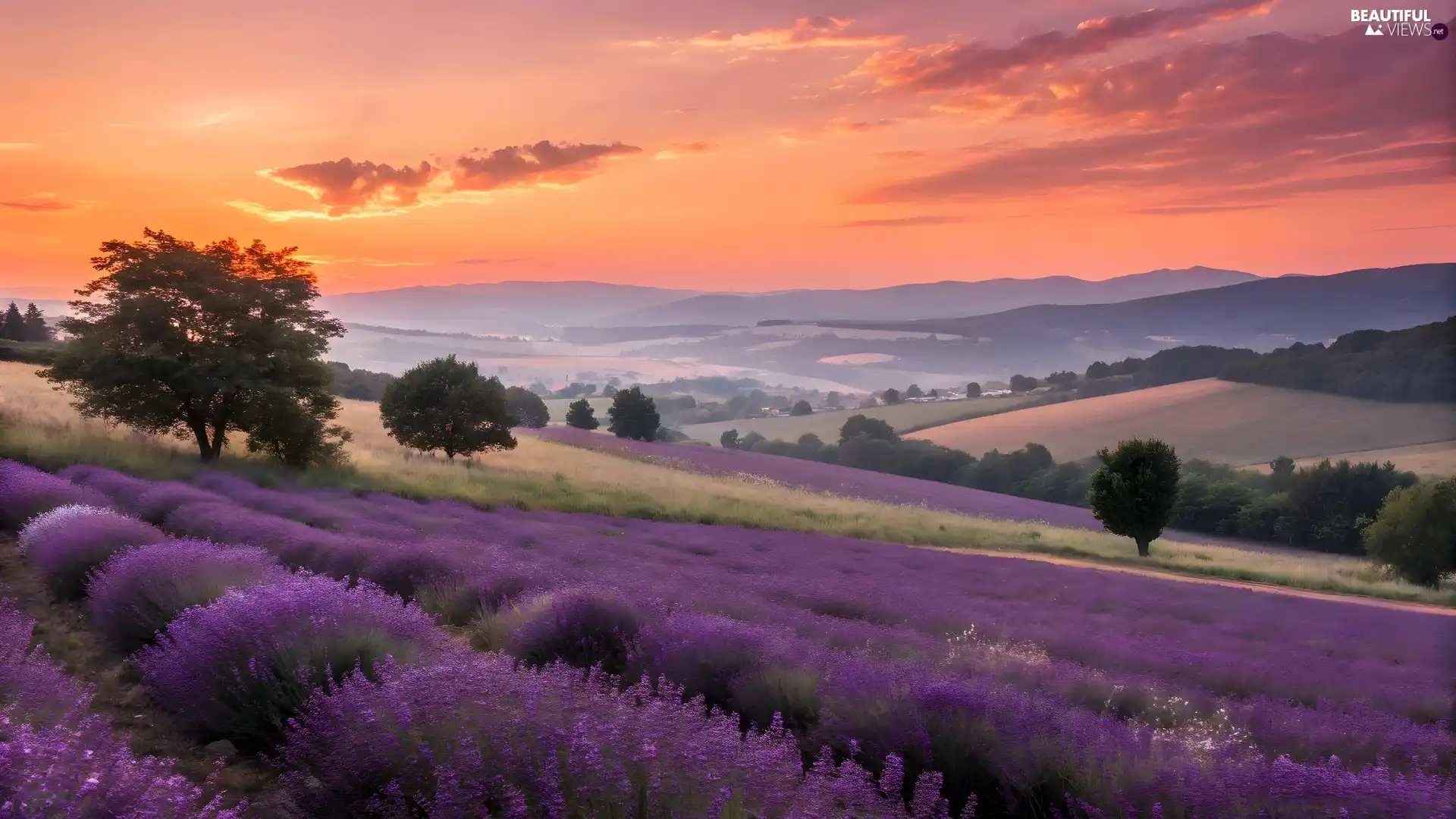 Sky, Great Sunsets, lavender, The Hills, Field