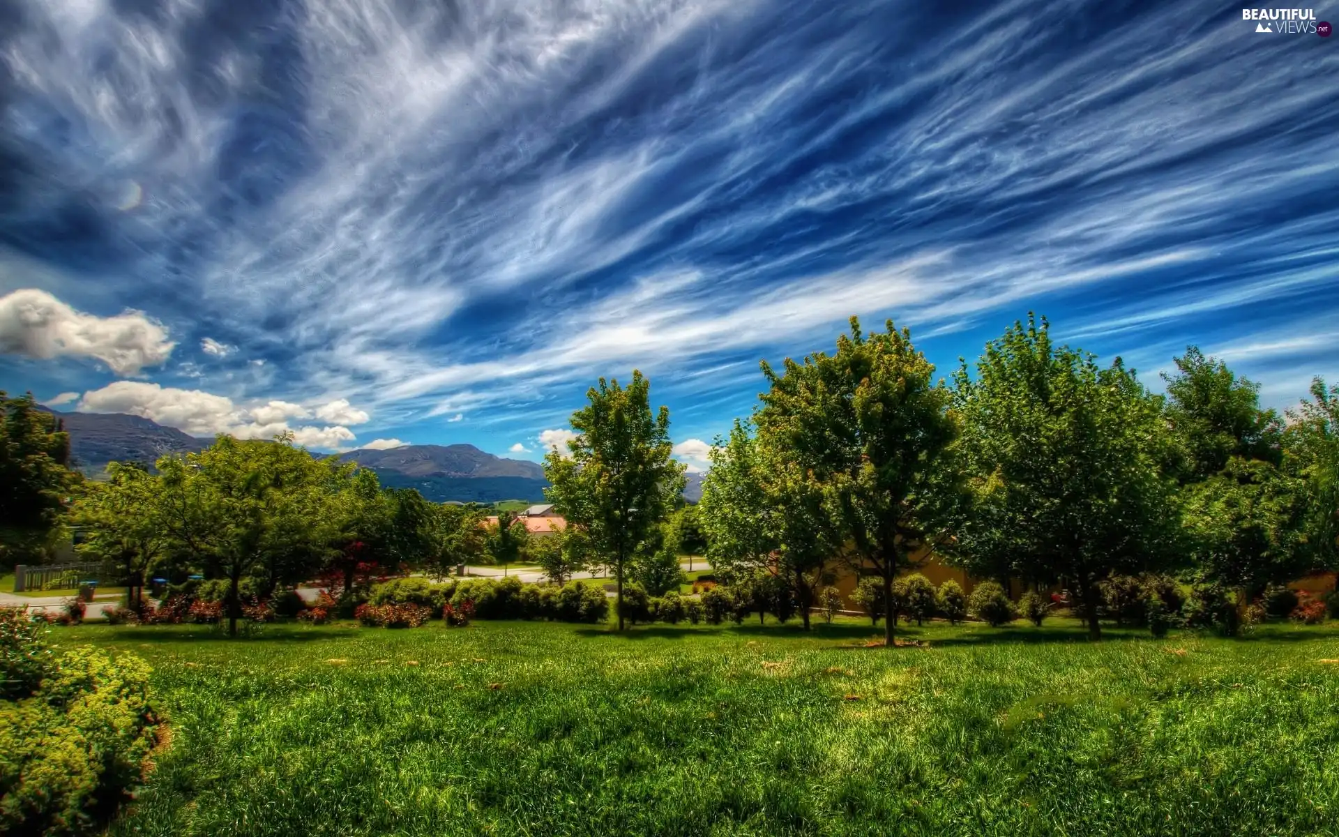 clouds, viewes, Lawn, trees