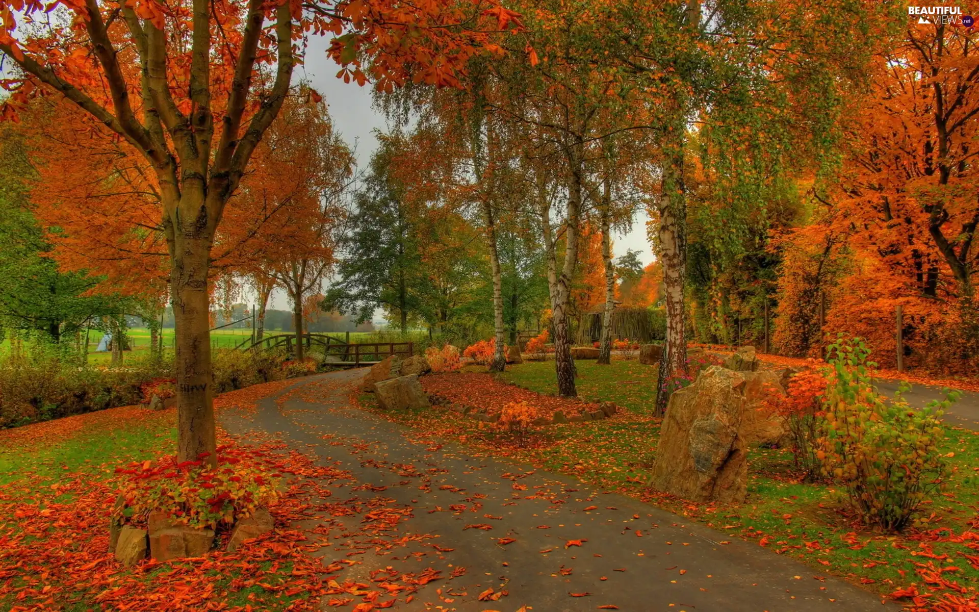 Bridges Park Leaf Autumn Alley River Beautiful Views Wallpapers