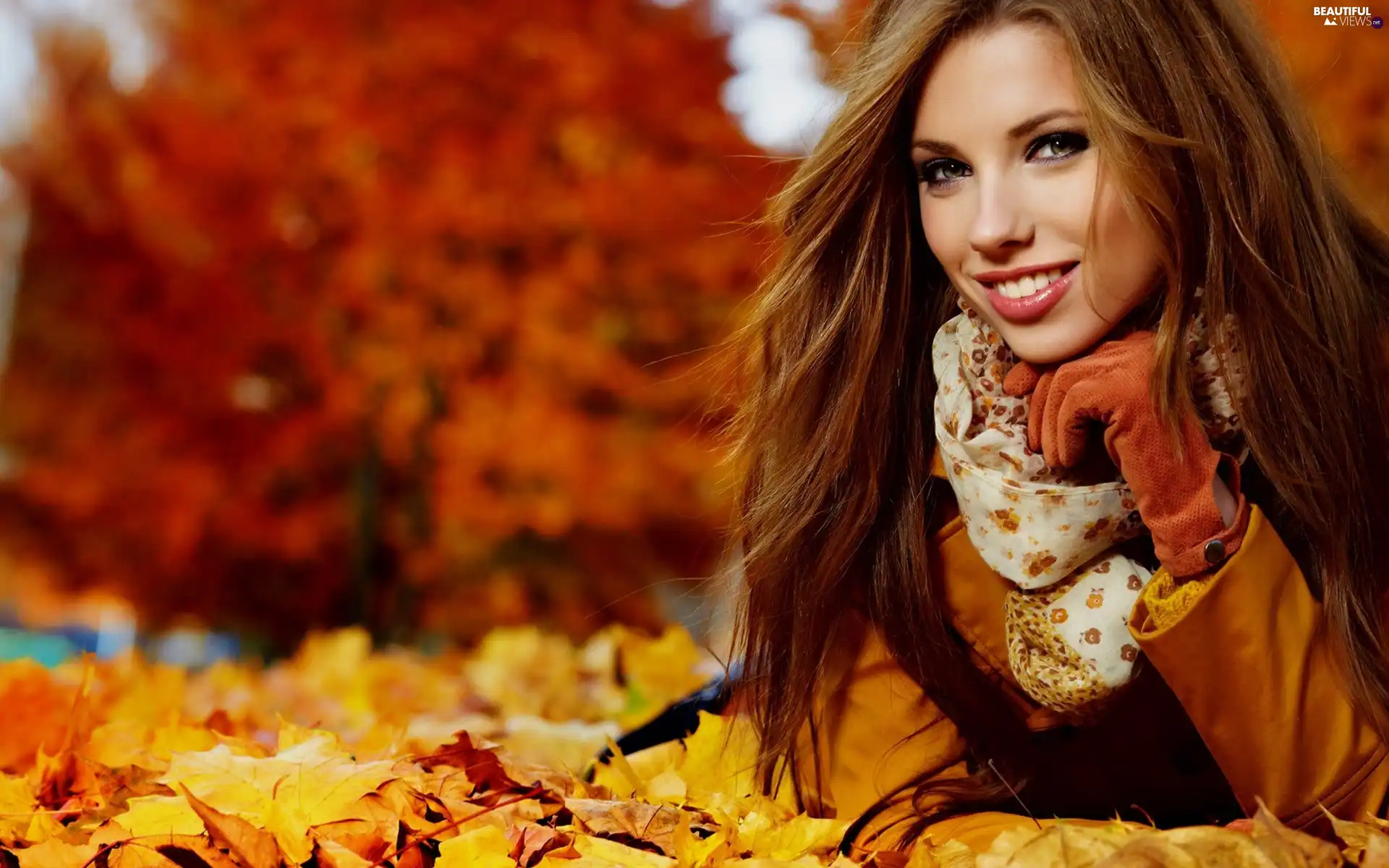 Leaf, Women, autumn