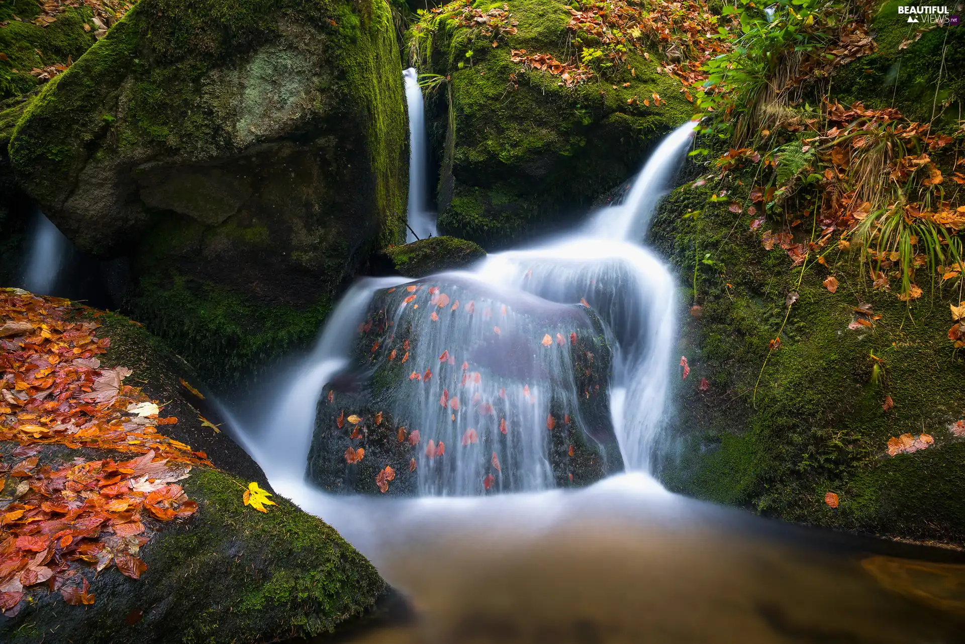 fallen, Leaf, mossy, rocks, waterfall