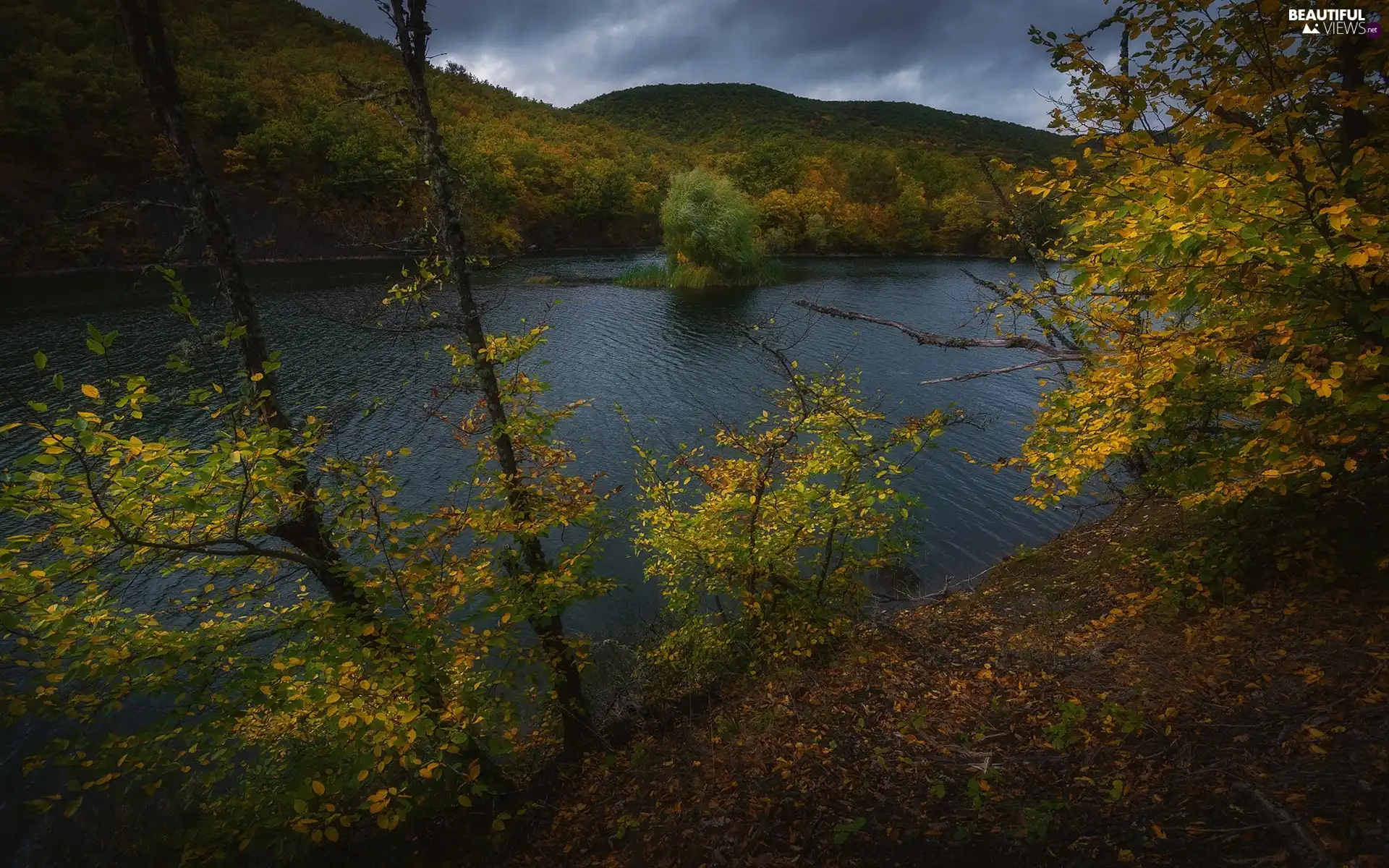 Islet, lake, viewes, Leaf, trees, Mountains