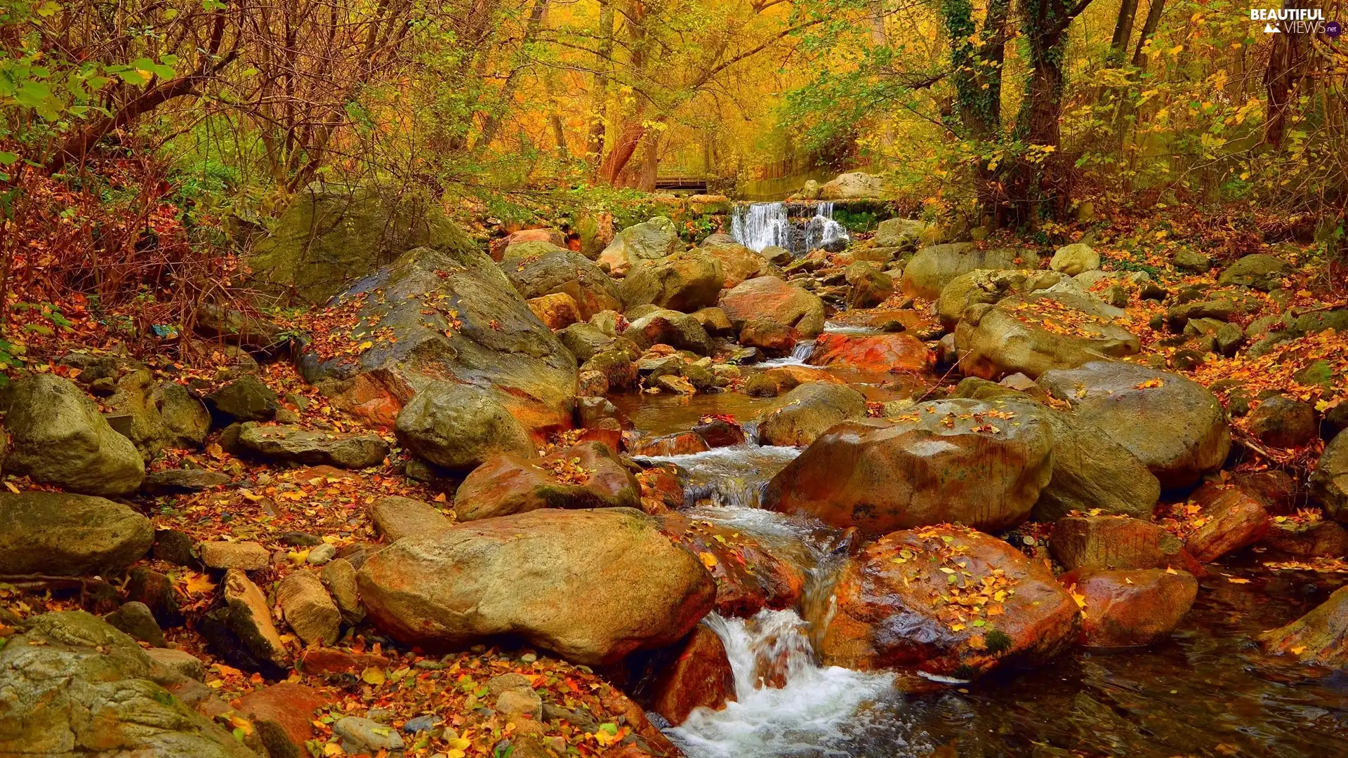 Stones, forest, autumn, Leaf, rocks, River