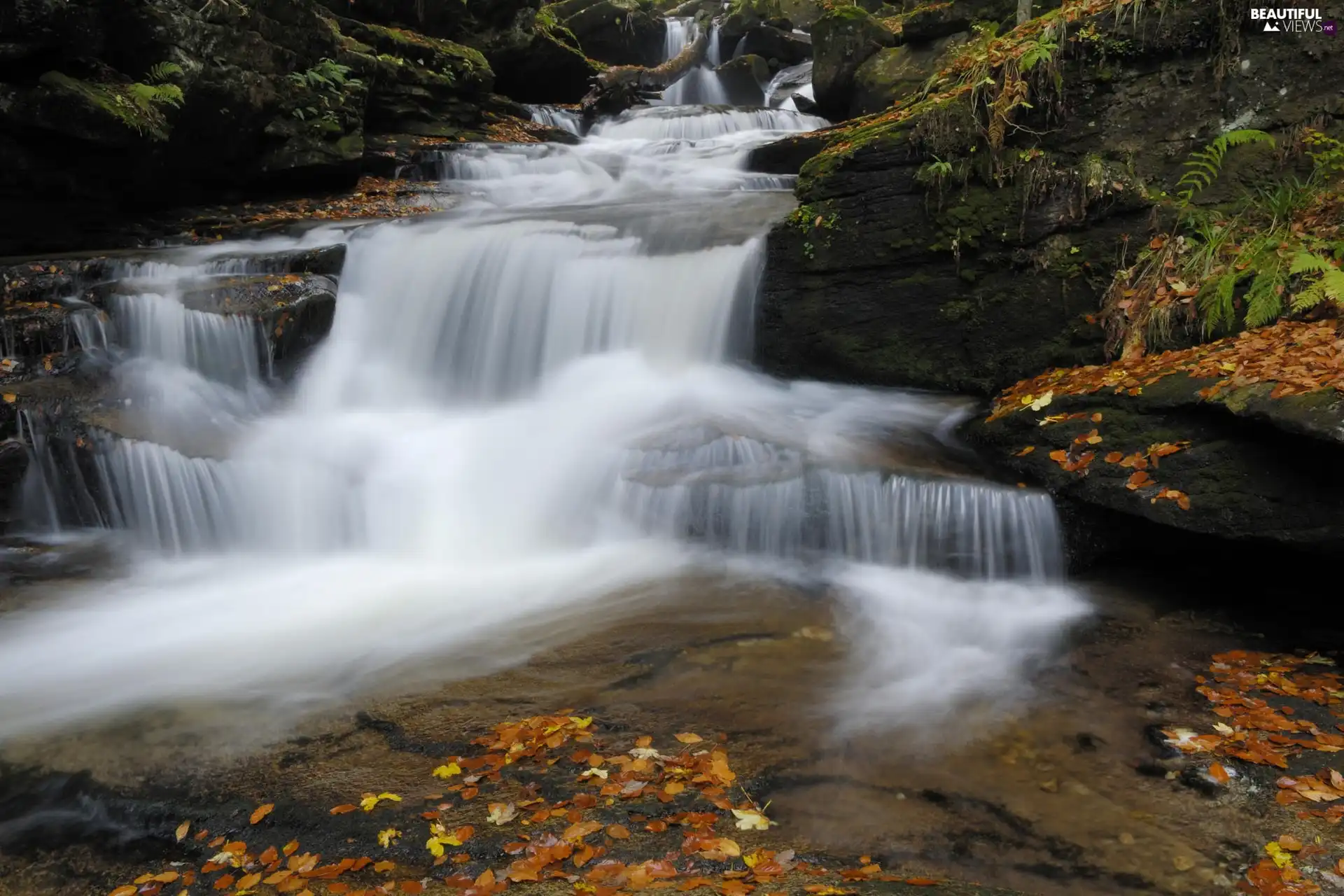 Leaf, waterfall, rocks