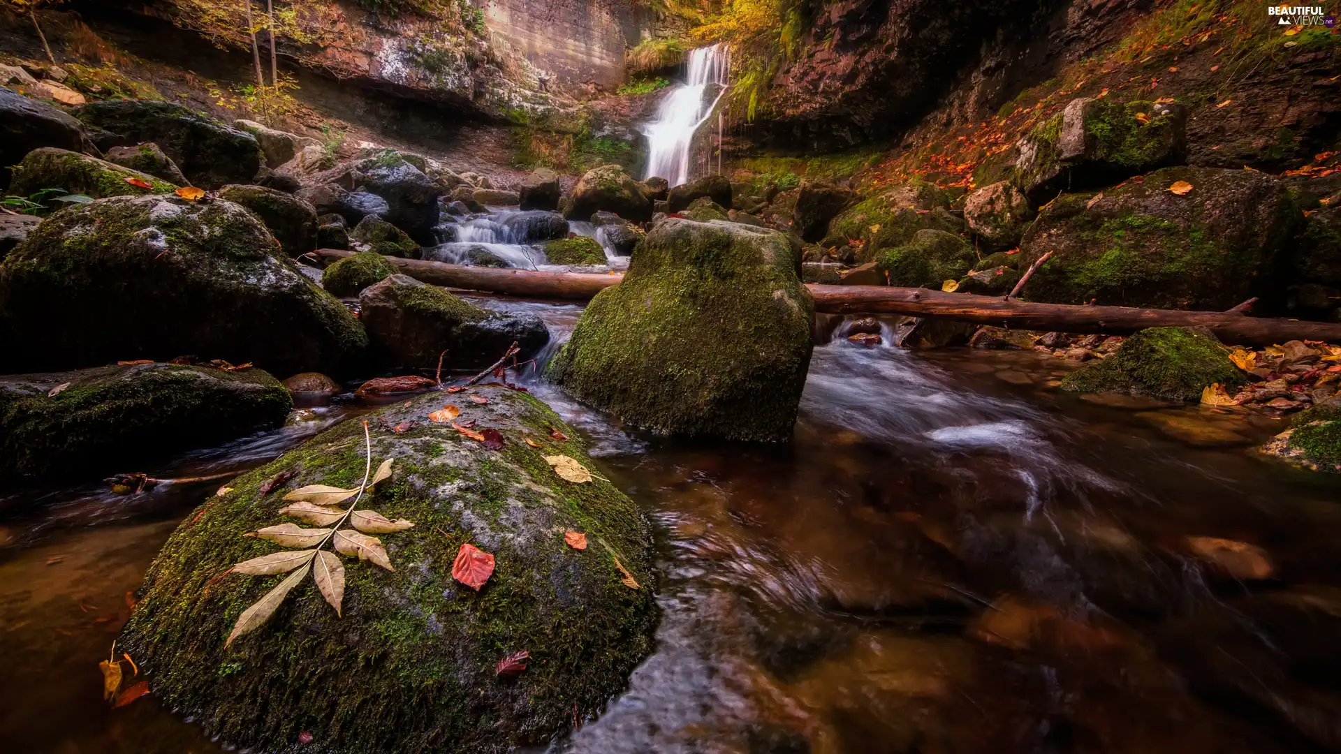 mossy, rocks, River, Leaf, Stones, waterfall