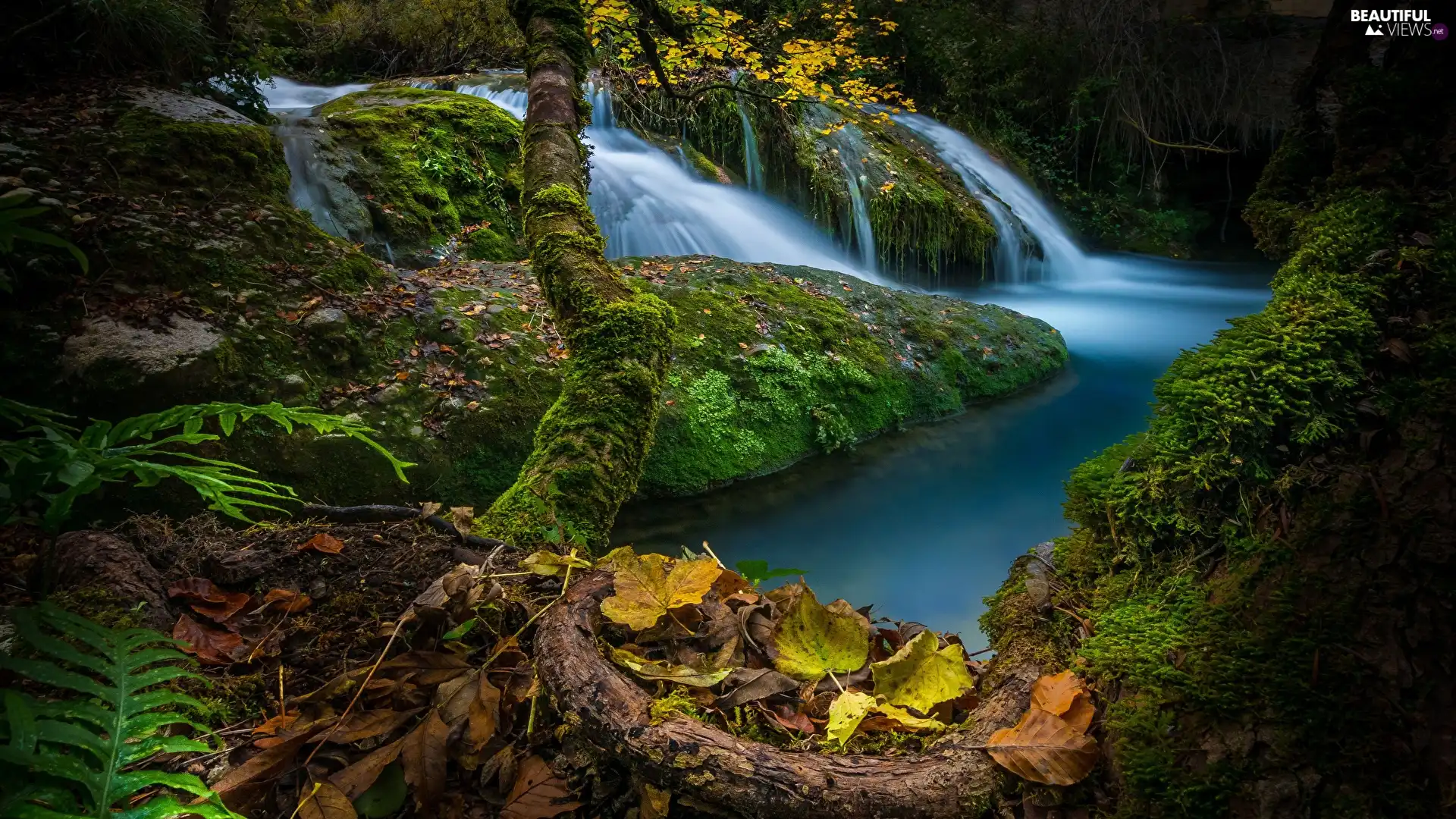 River, autumn, Rocks, Leaf, Mossy, waterfall