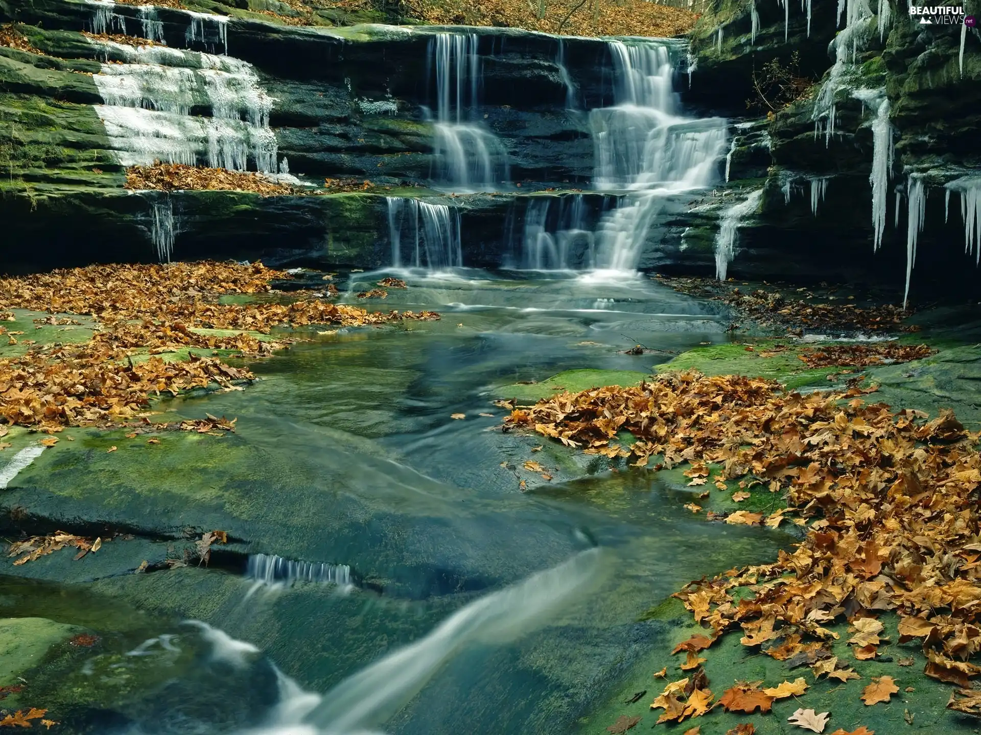 Leaf, rocks, waterfall