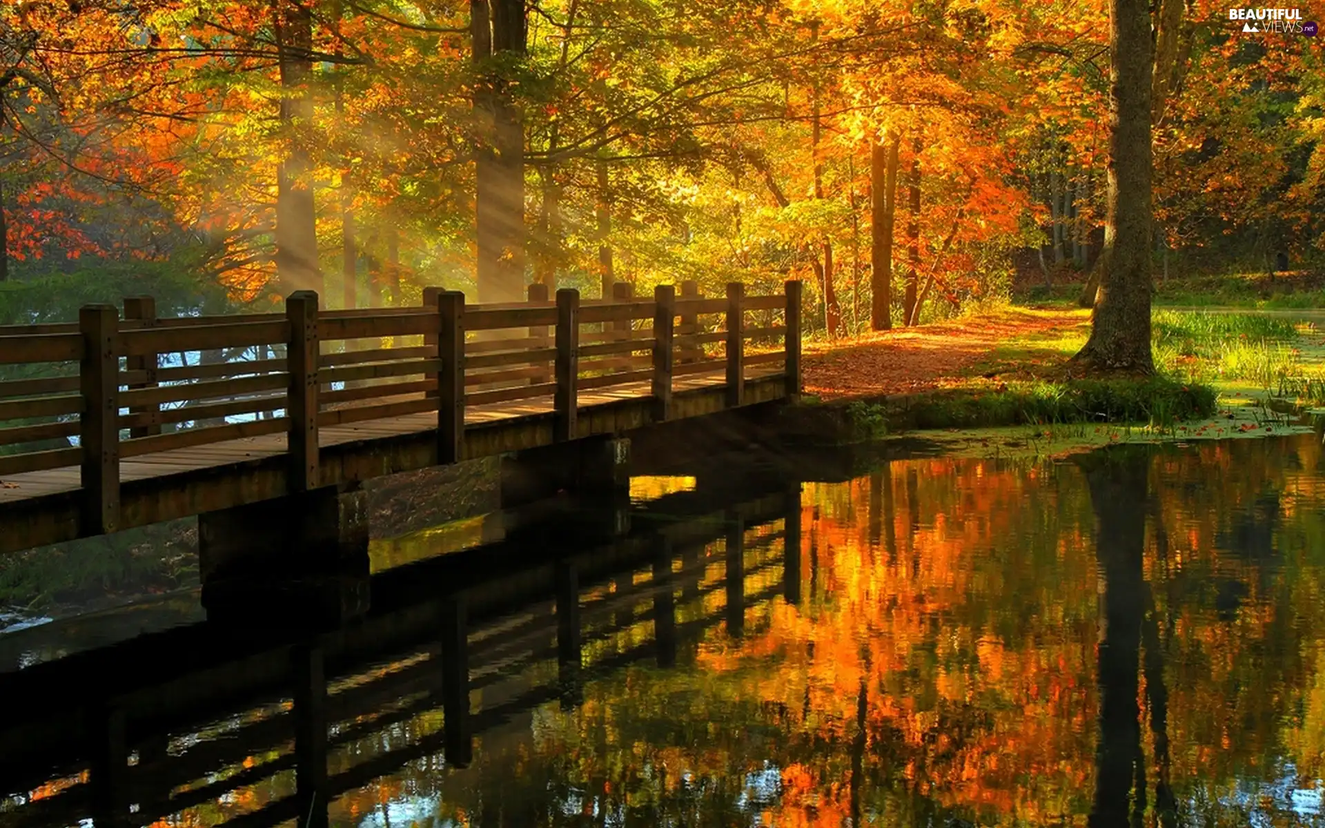 bridge, ligh, autumn, sun, luminosity, River, Park, flash