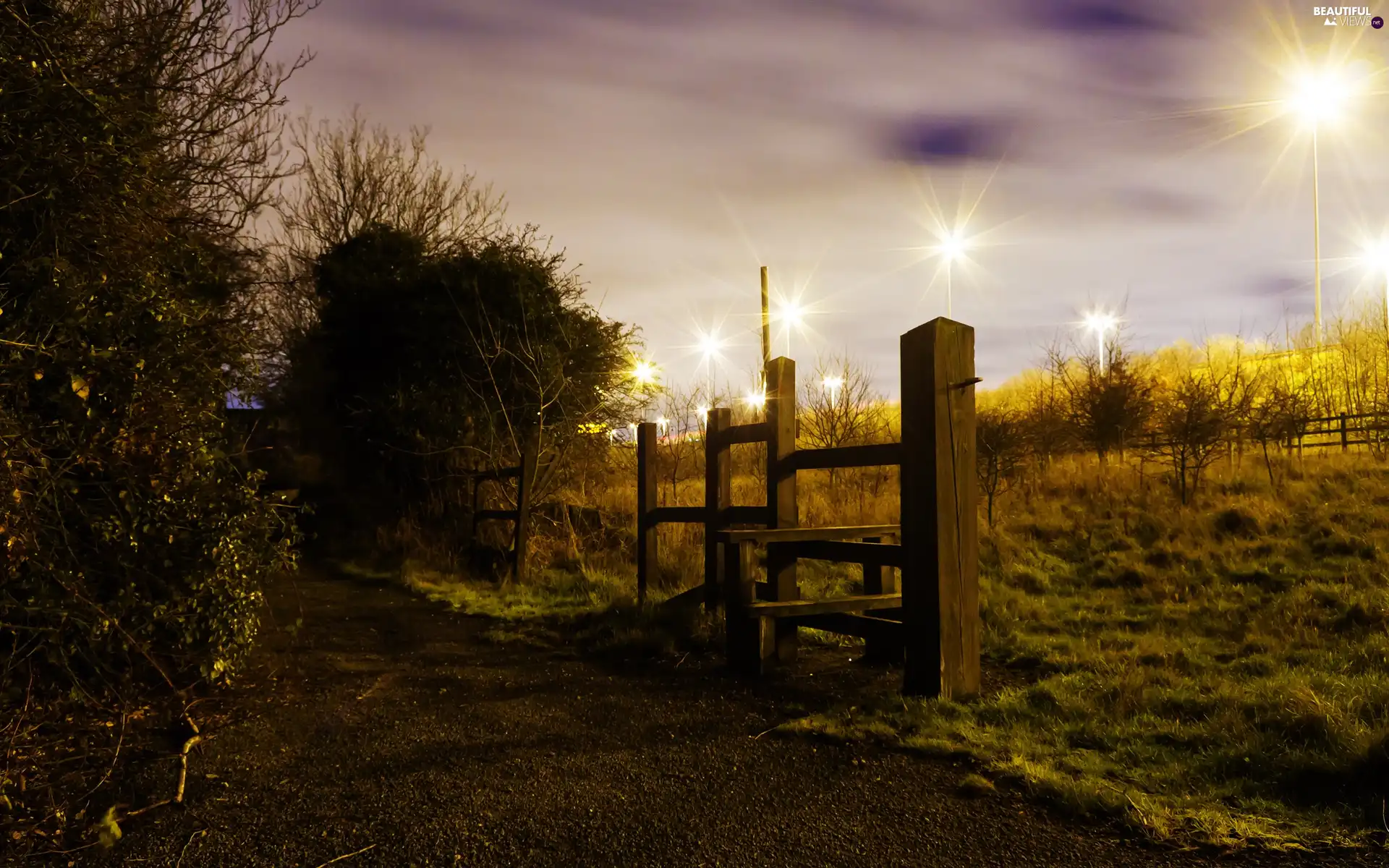 Path, grass, light, fence