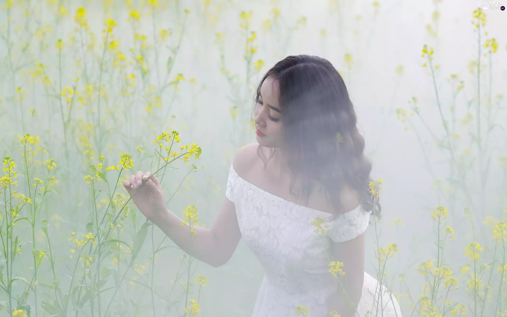 light brown, Women, Asian, White, Flowers, Fog, hand, Yellow, dress