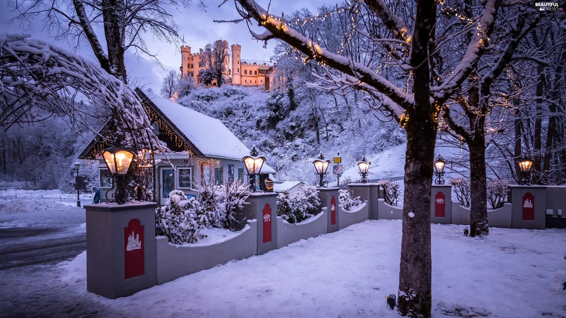 Lamps, viewes, Bavaria, Home, Germany, winter, Hill, lighting, Shop, Hohenschwangau Castle, ledge, Schwangau Commune, trees