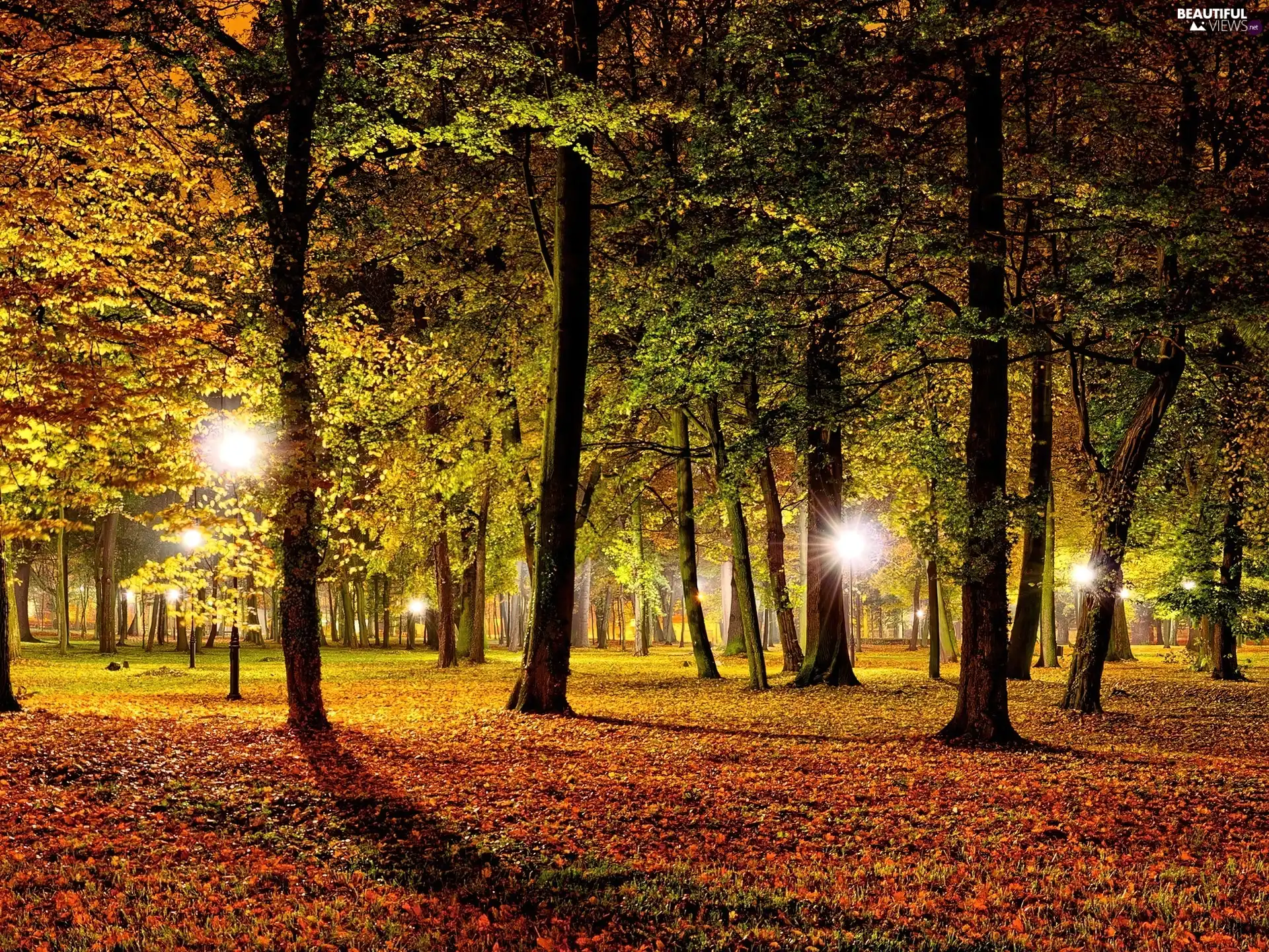lighting, Autumn, Park