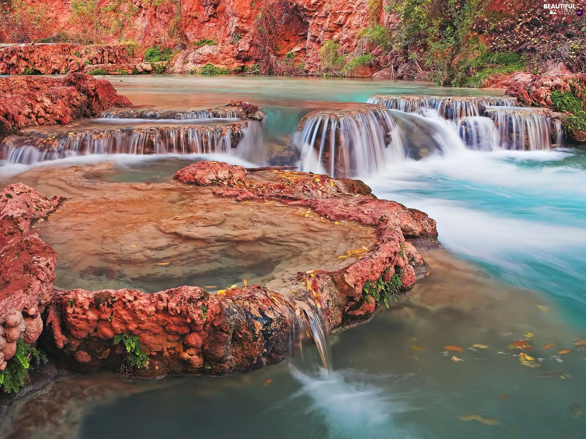 little doggies, waterfalls