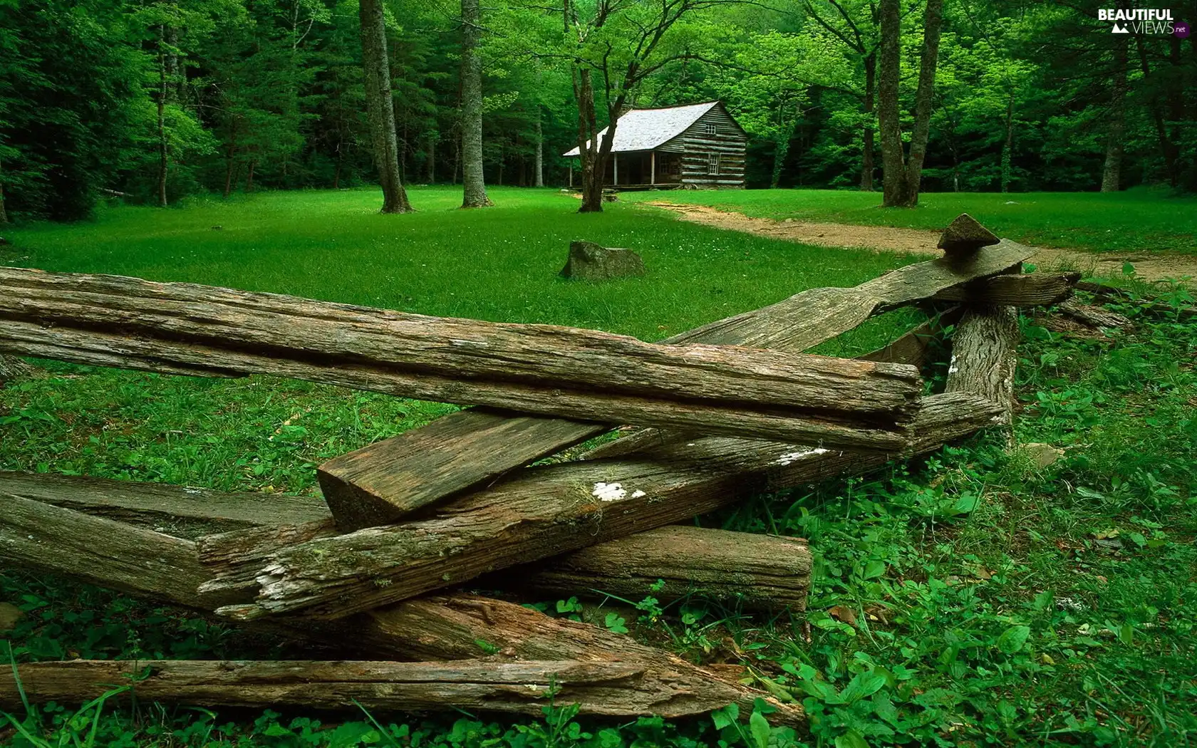 Logs, forest, Home