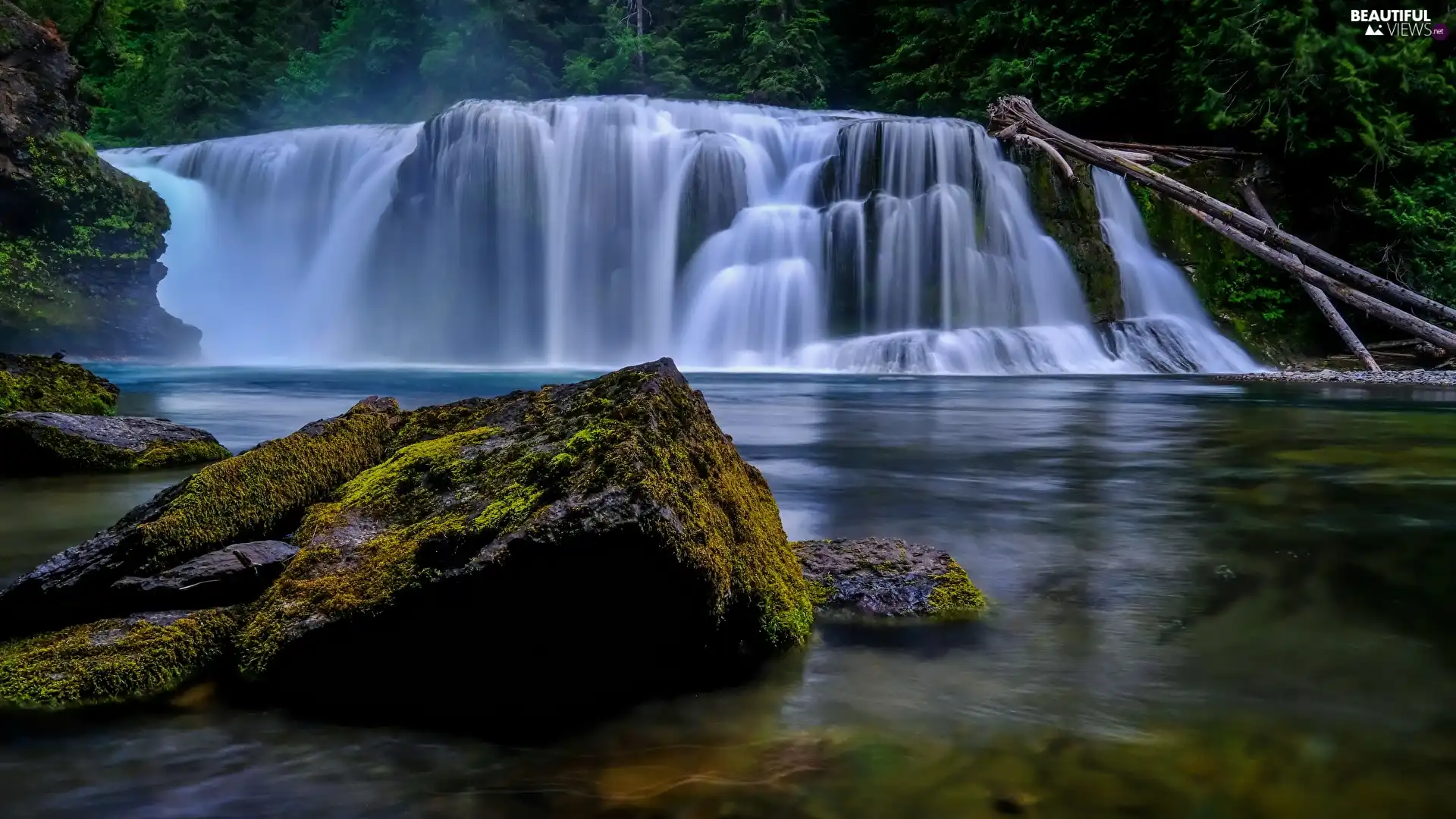 The United States, Cougar Settlement, Stones, Washington State, Lower Lewis River Falls, mossy, forest
