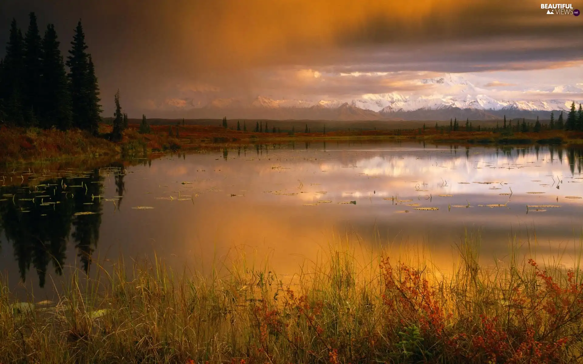 autumn, Mountains, marsh marigolds, glow, Leaf, lake