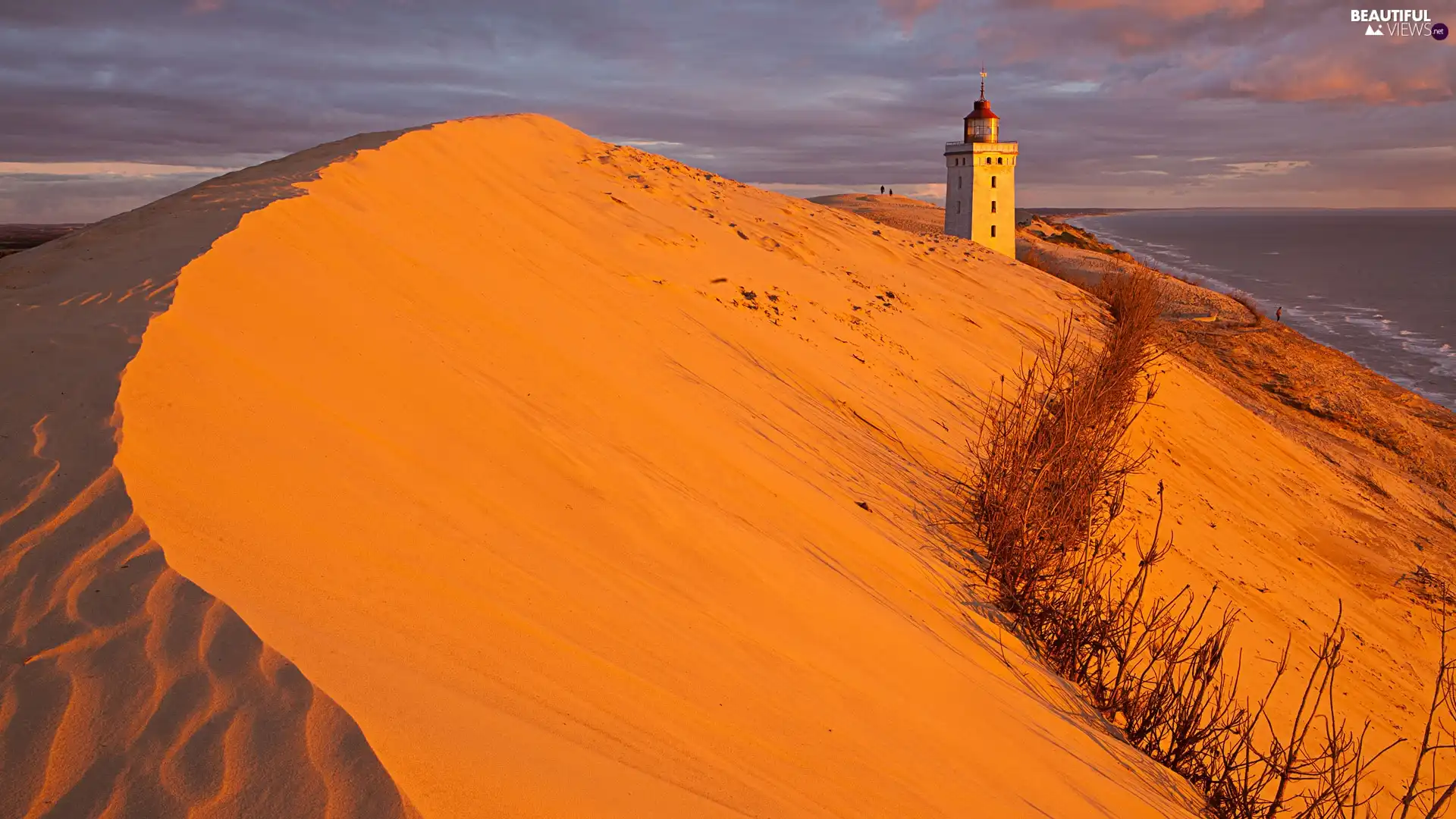 Desert, Lighthouse, maritime, Coast