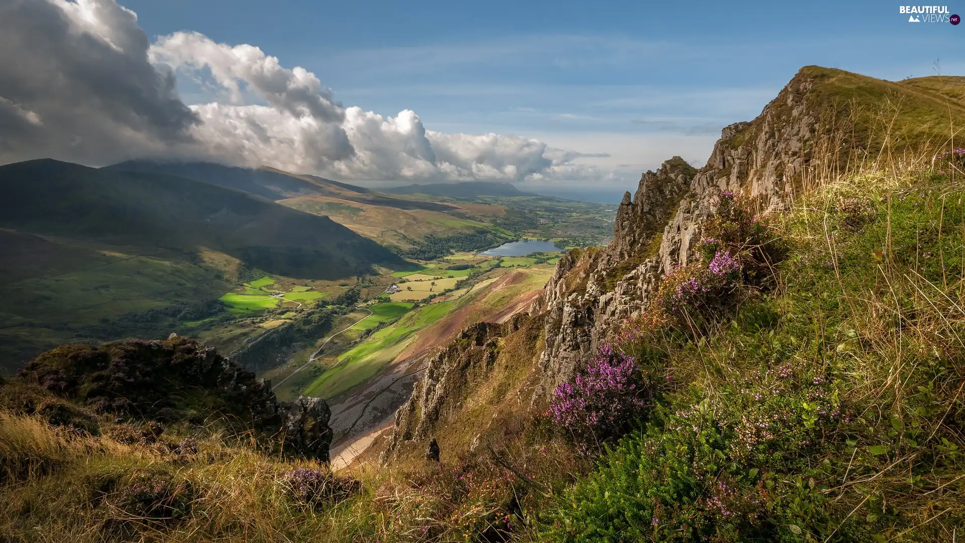 Snowdonia National Park, Mountains, clouds, Peak of Mynydd Mawr, Valley, Nantlle Valley, wales, Plants