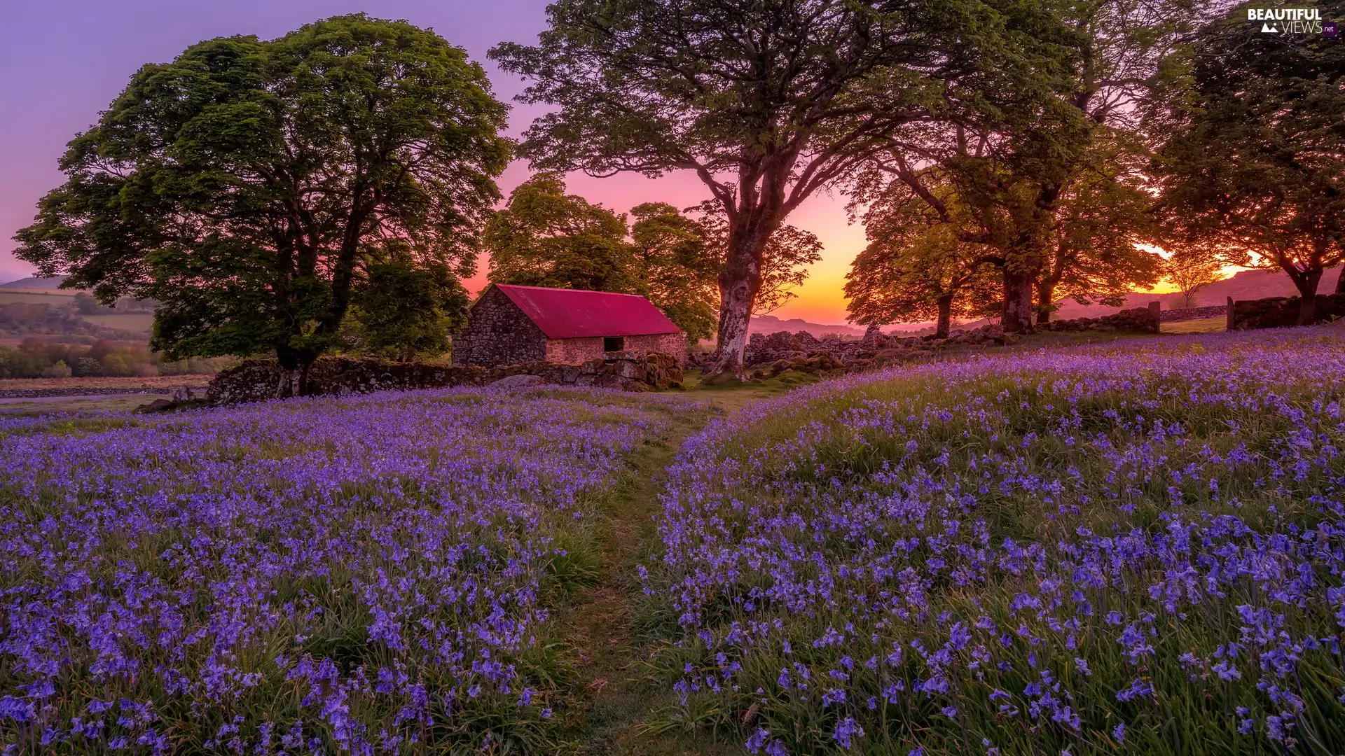 house, Path, ringtones, Great Sunsets, trees, Meadow, Flowers, Spring, ledge, viewes