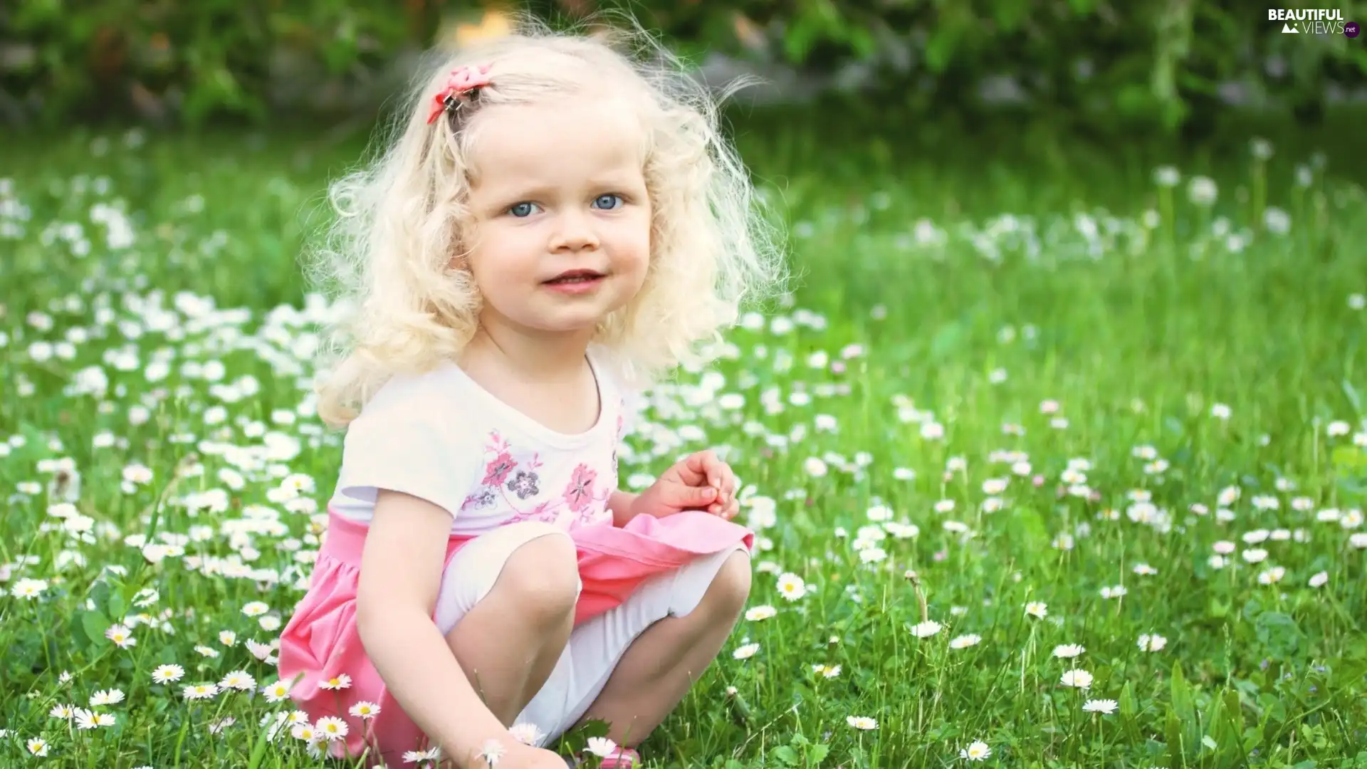 girl, Meadow