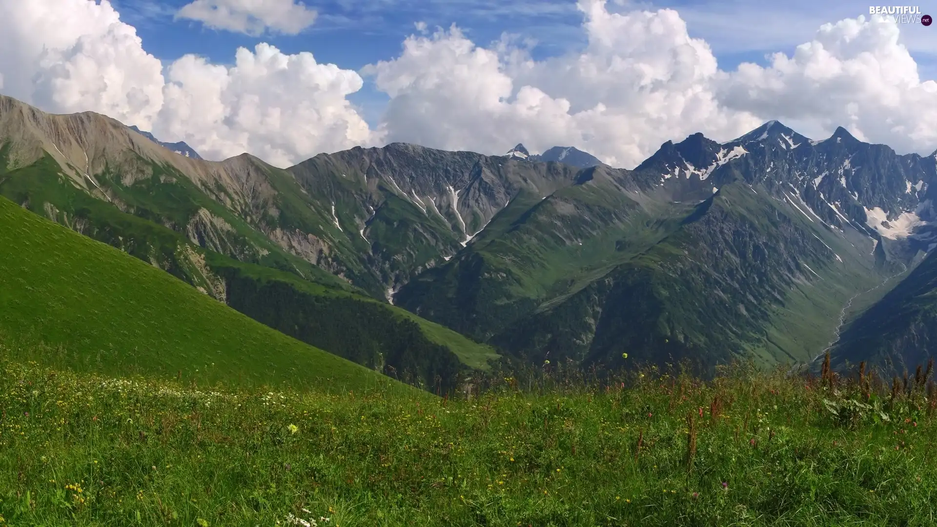 Meadow, grass, Mountains, snow, clouds