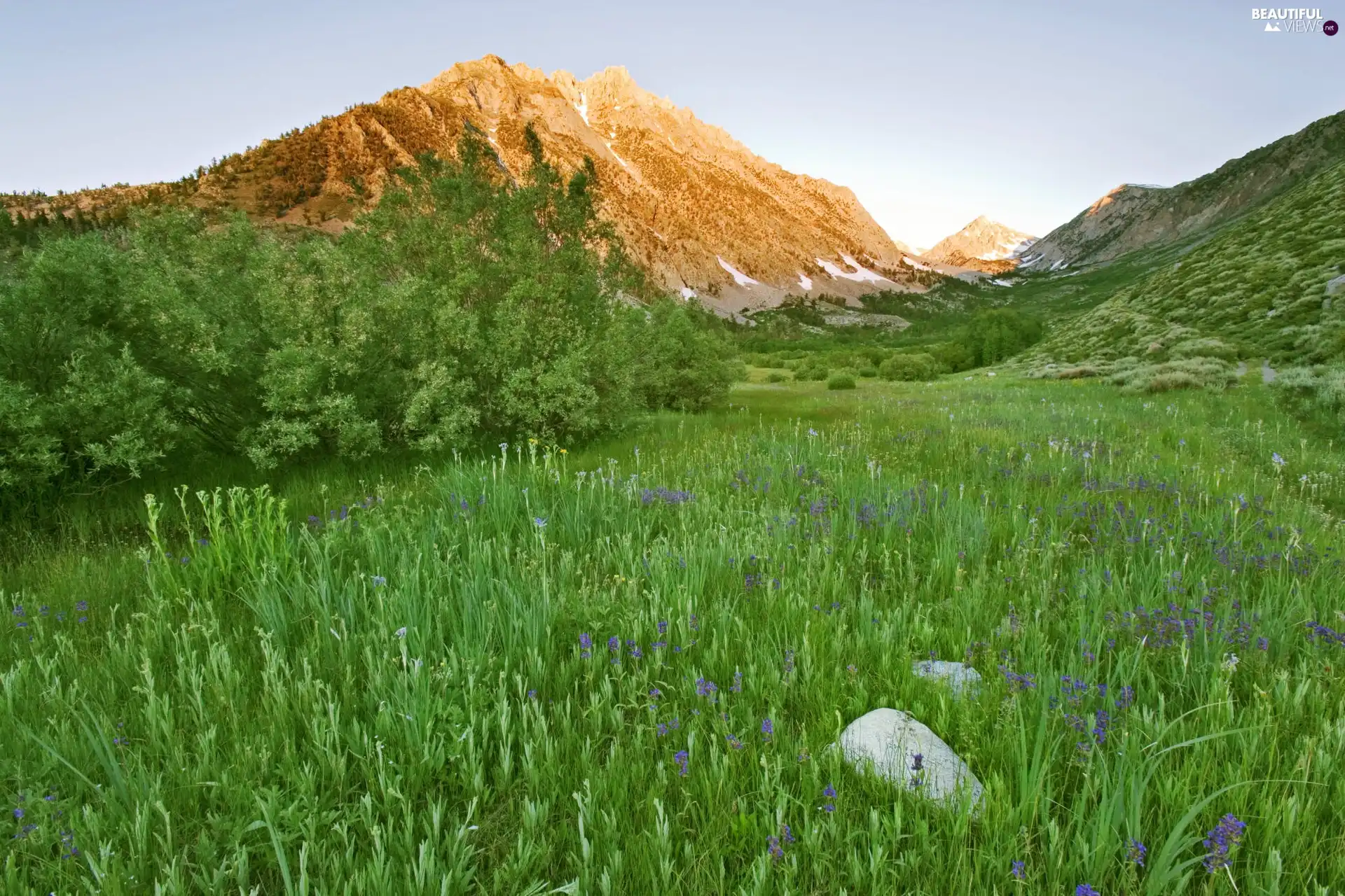 mountains, slope, Meadow, green ones