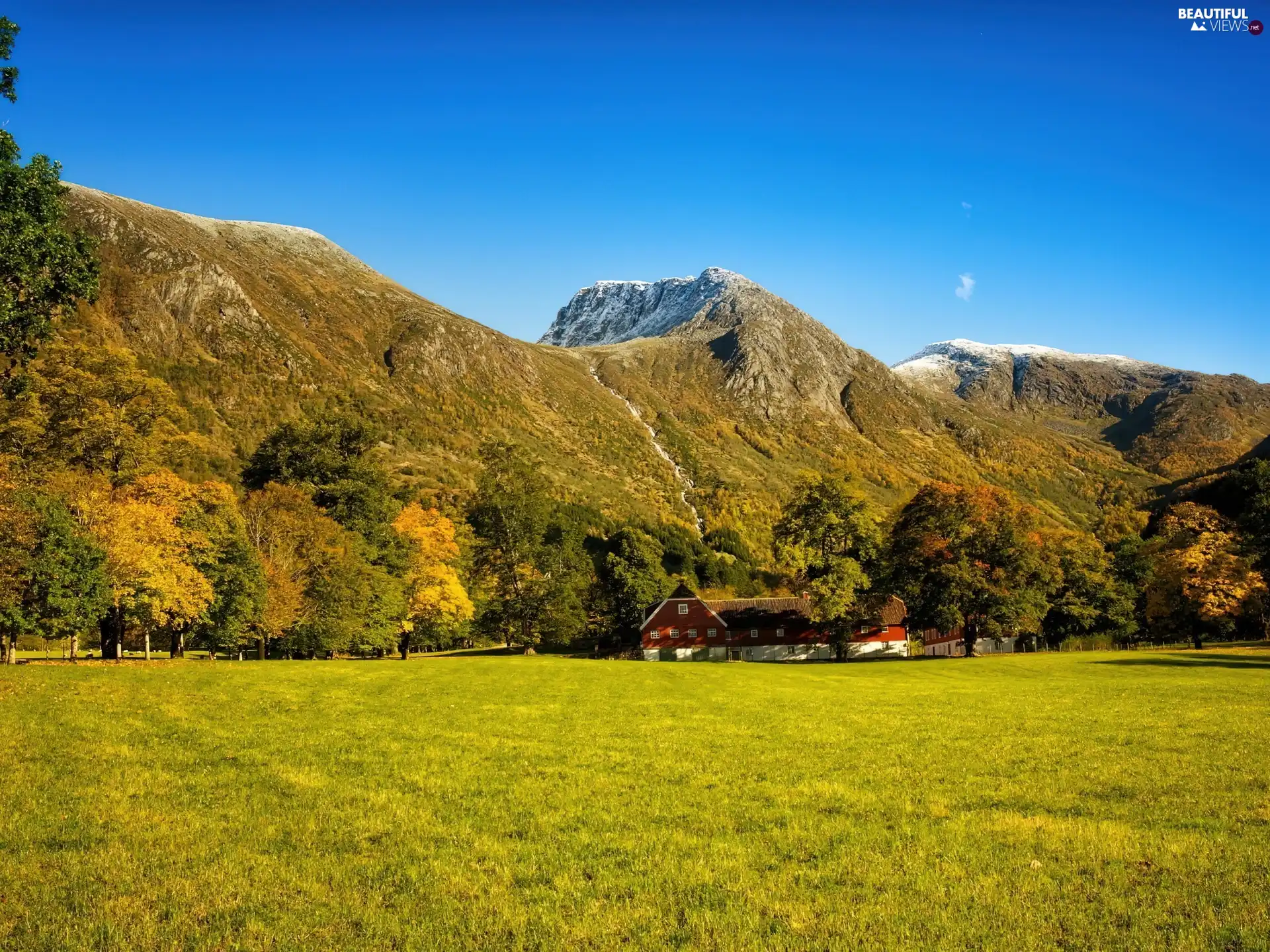 Meadow, Mountains, house