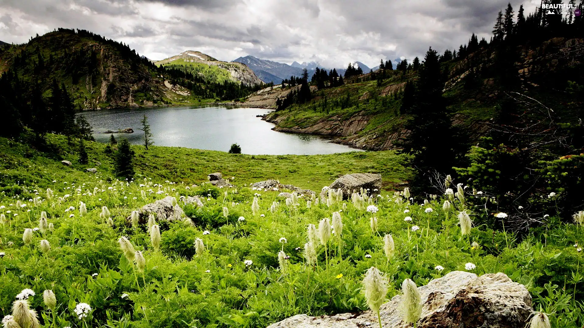 Meadow, Mountains, lake