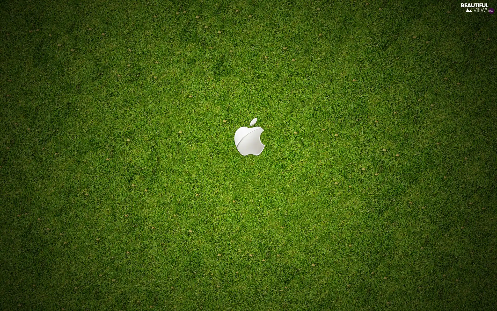 Meadow, Apple, logo