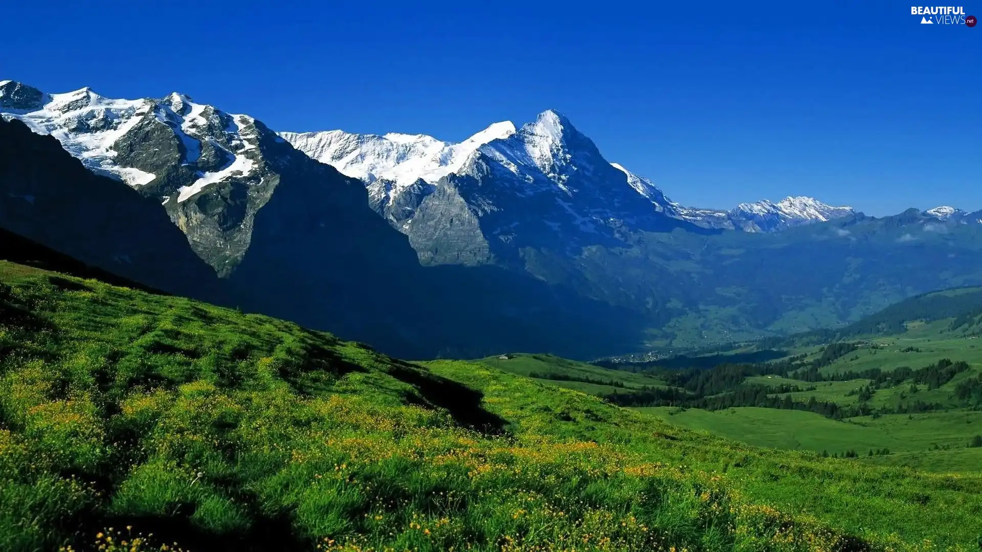 Mountains, Green, Meadow, Sky