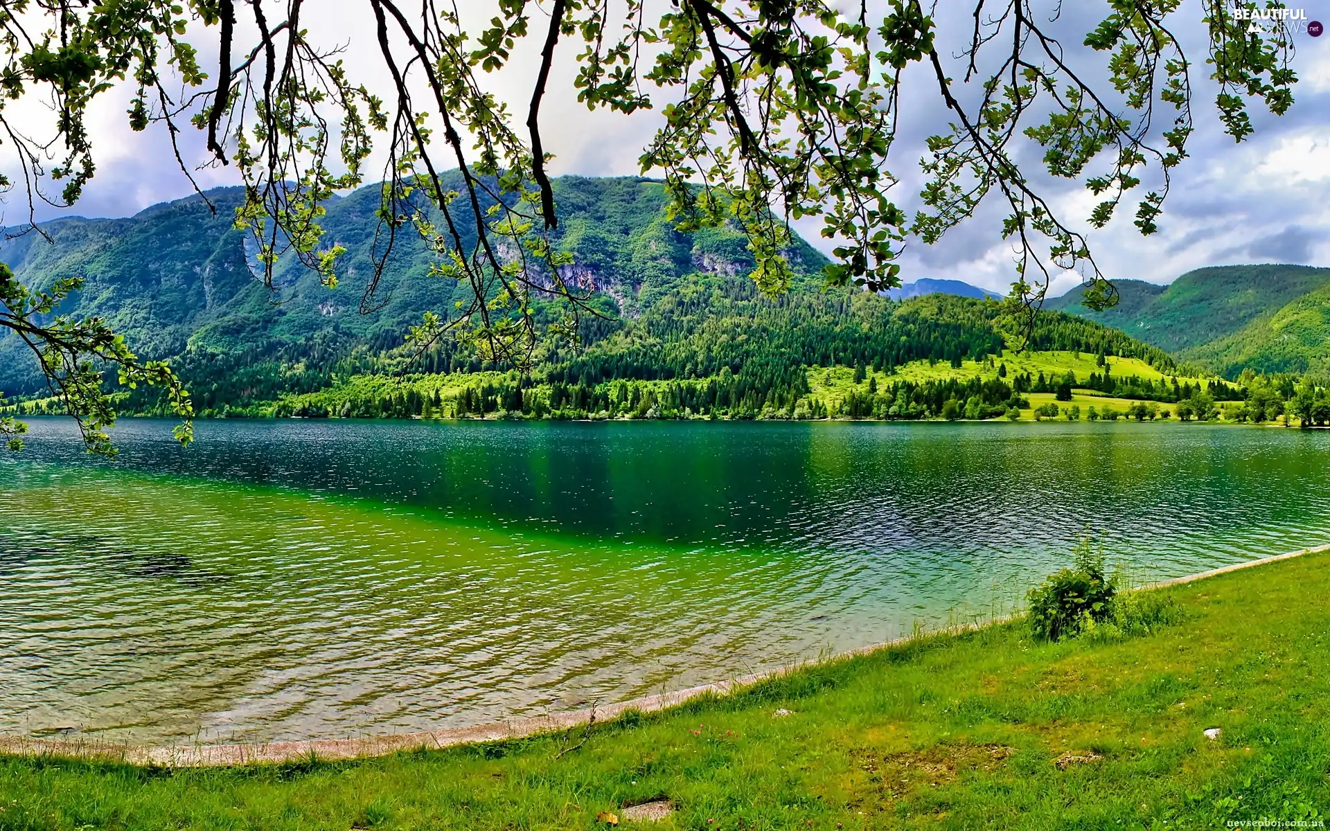 Mountains, lake, Meadow, forest