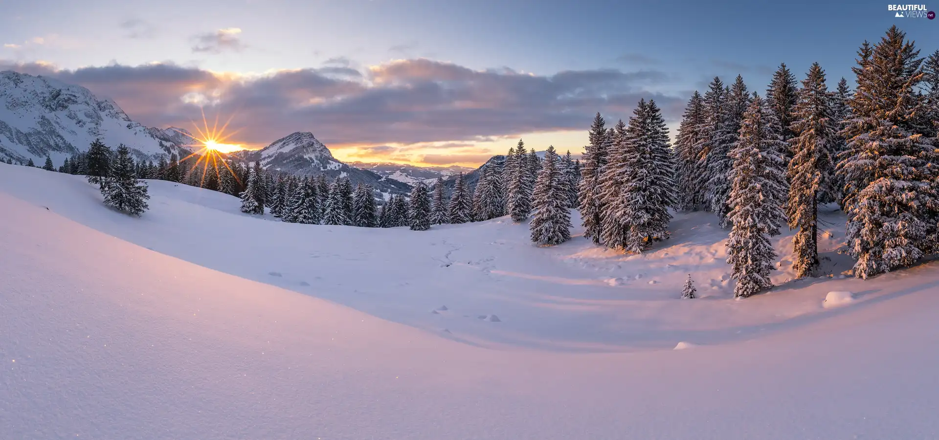 viewes, winter, rays of the Sun, car in the meadow, Mountains, trees