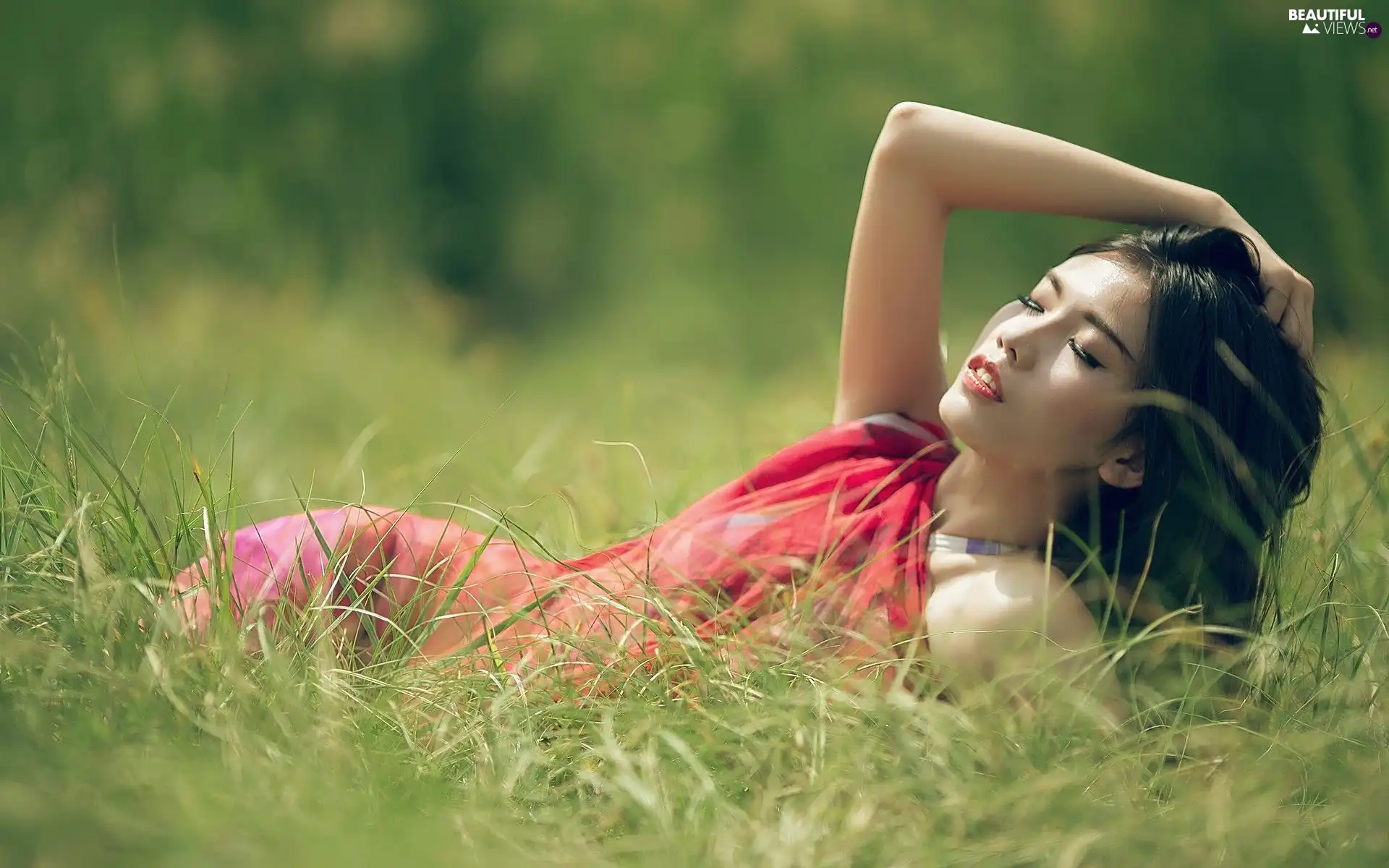 brunette, dress, Meadow, red hot