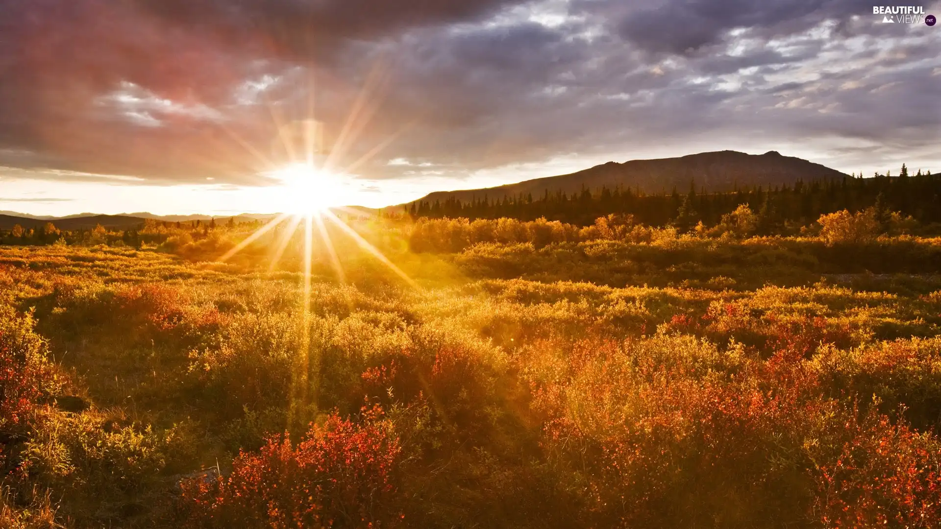 Meadow Rays Sun Beautiful Views Wallpapers 1920x1080