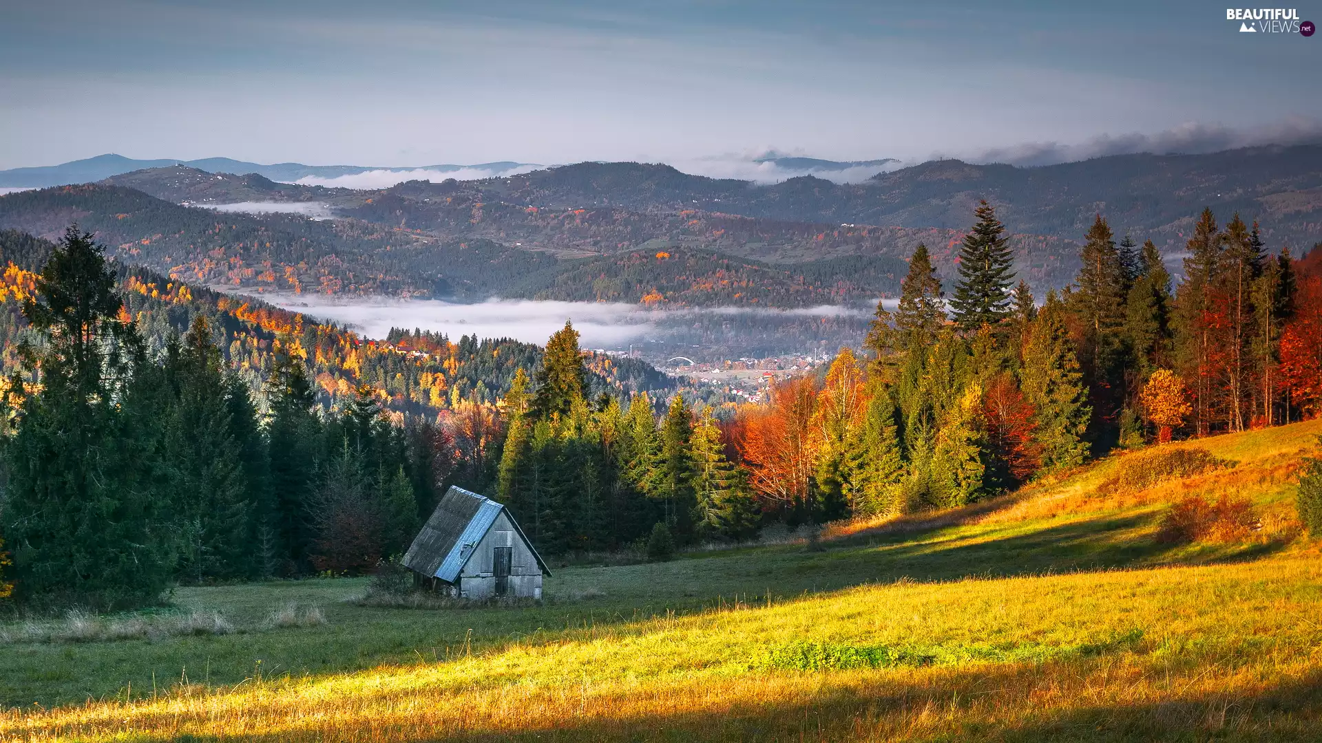 color, autumn, trees, viewes, Mountains, Poland, car in the meadow, cote, forest