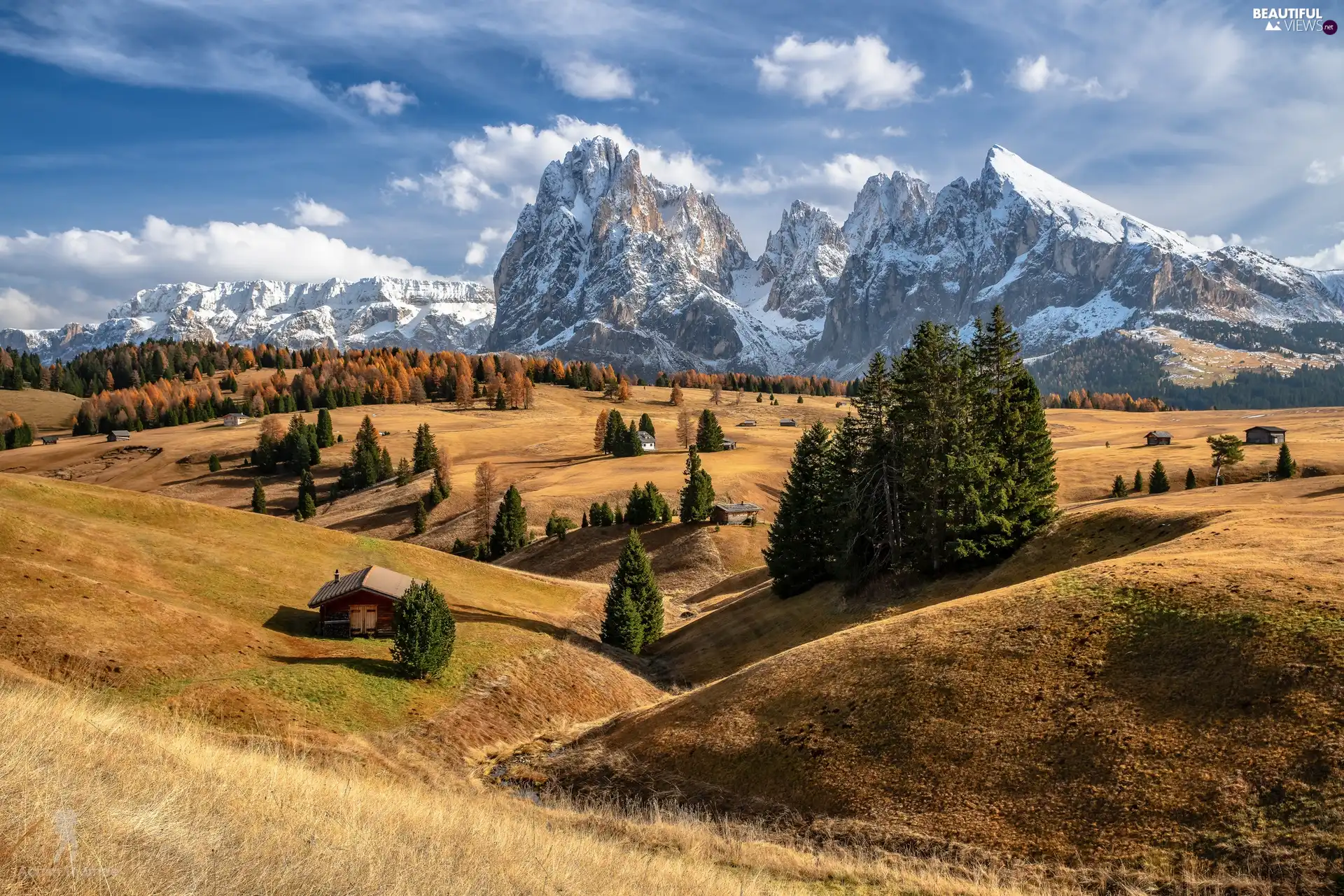 Dolomites, Seiser Alm Meadow, Italy, Houses, viewes, Sassolungo Mountains, Val Gardena Valley, trees