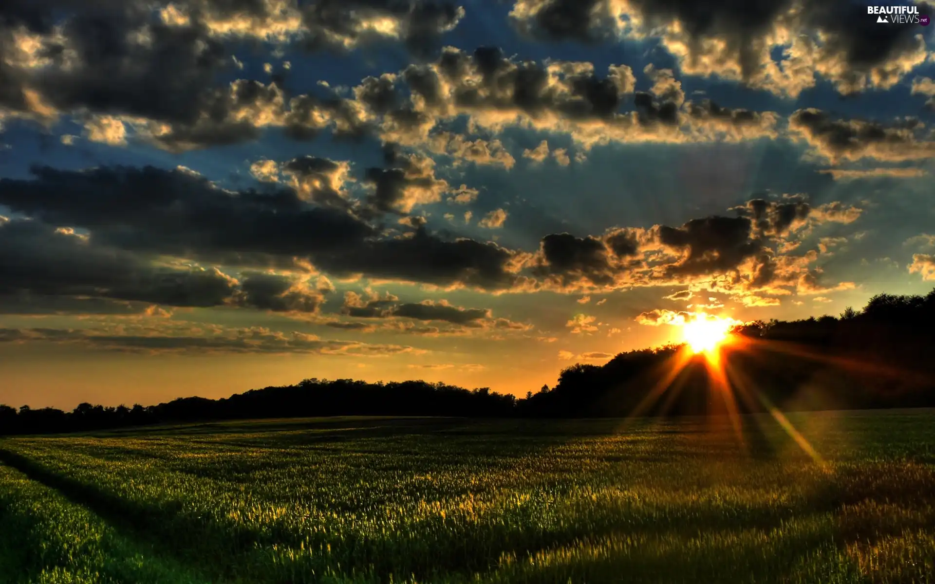 west, clouds, Meadow, sun