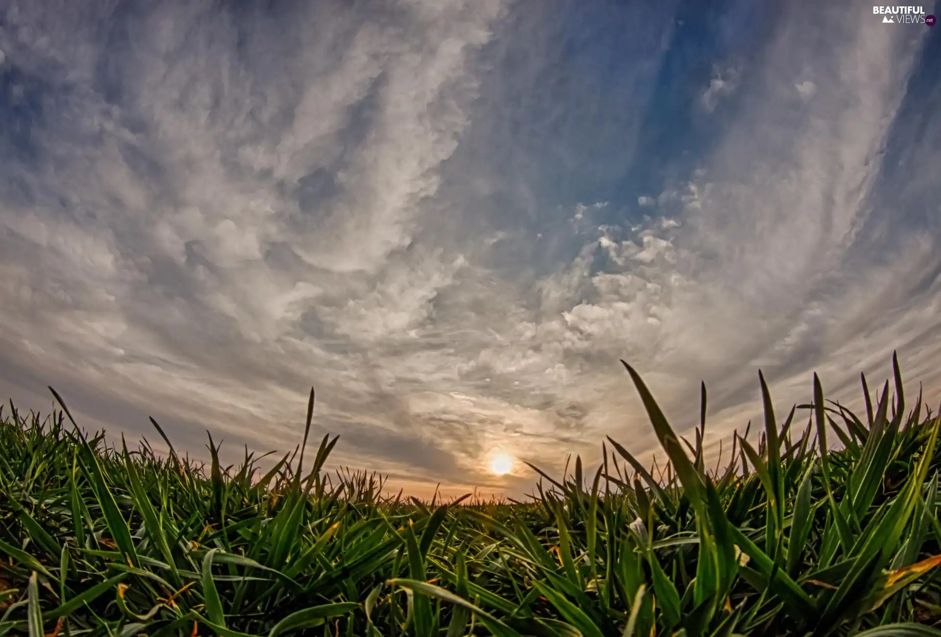 west, clouds, Meadow, sun