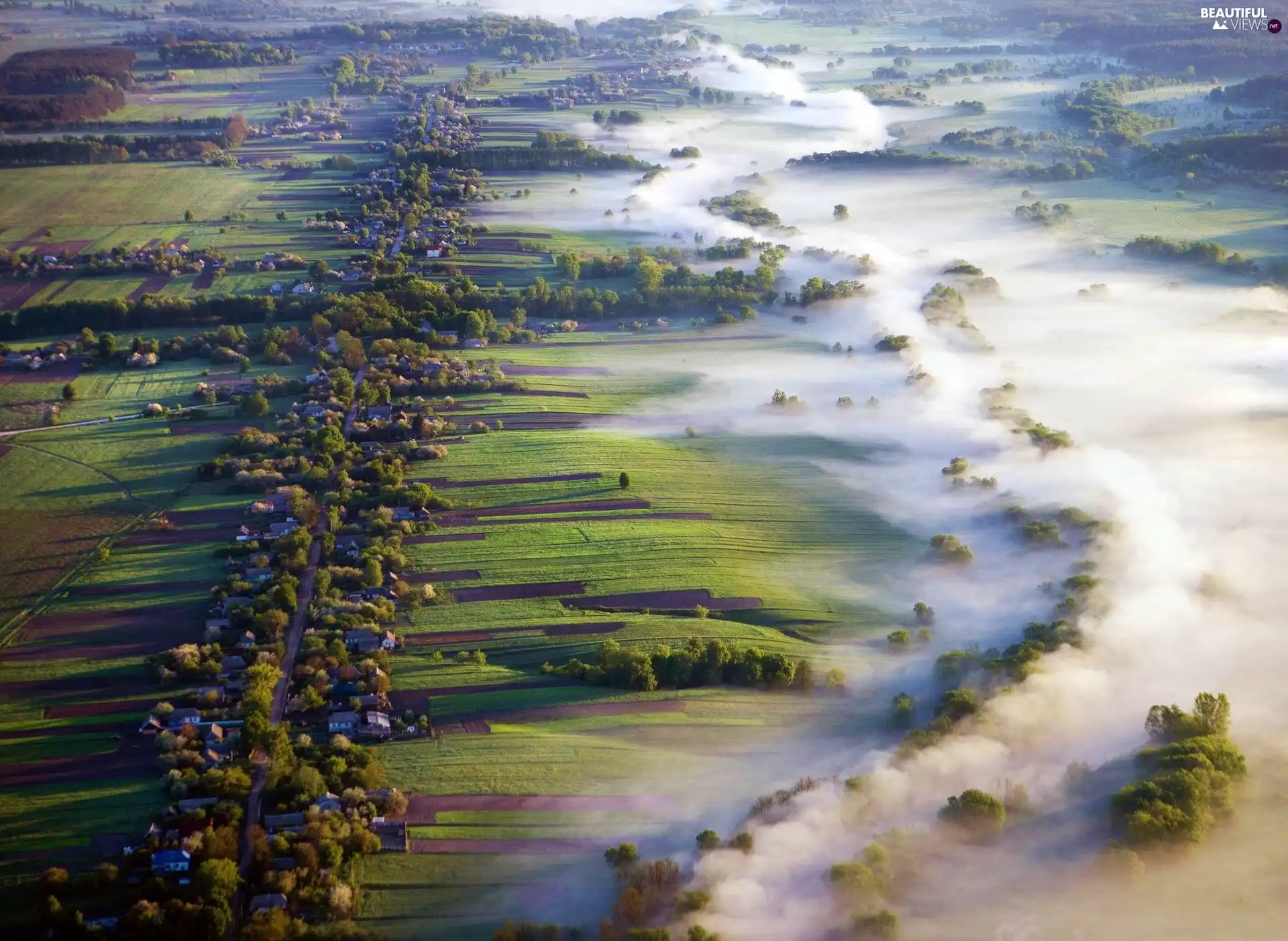 medows, panorama, Fog