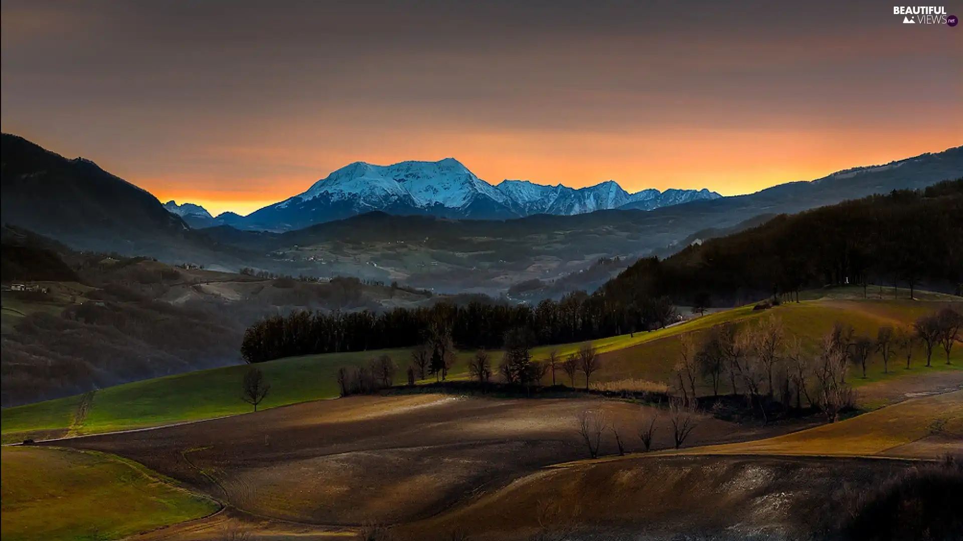 medows, Mountains, forest