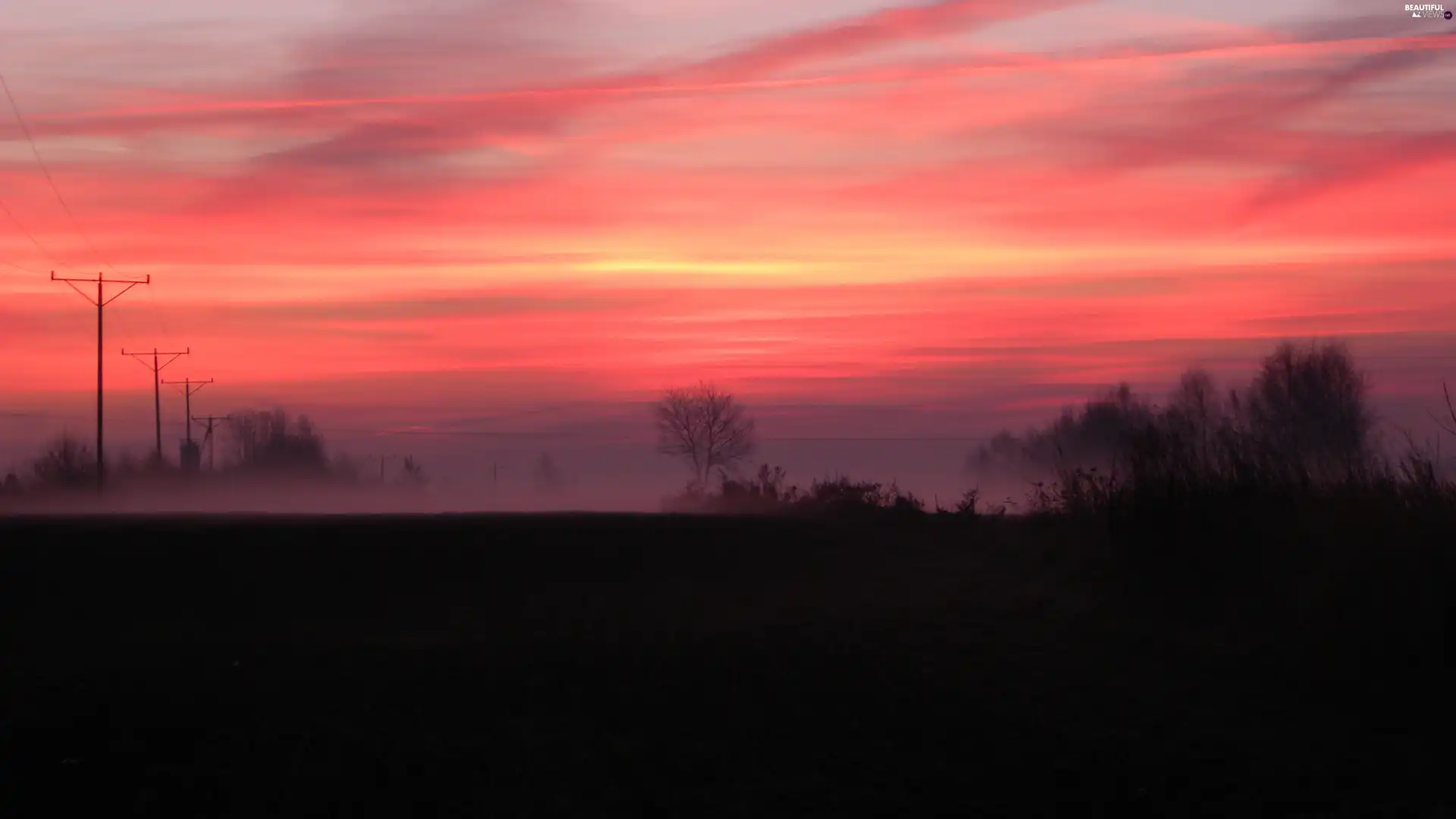 morning, Autumn, foggy